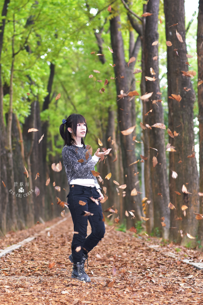 Nikon D810 sample photo. 落葉飄飄 photography