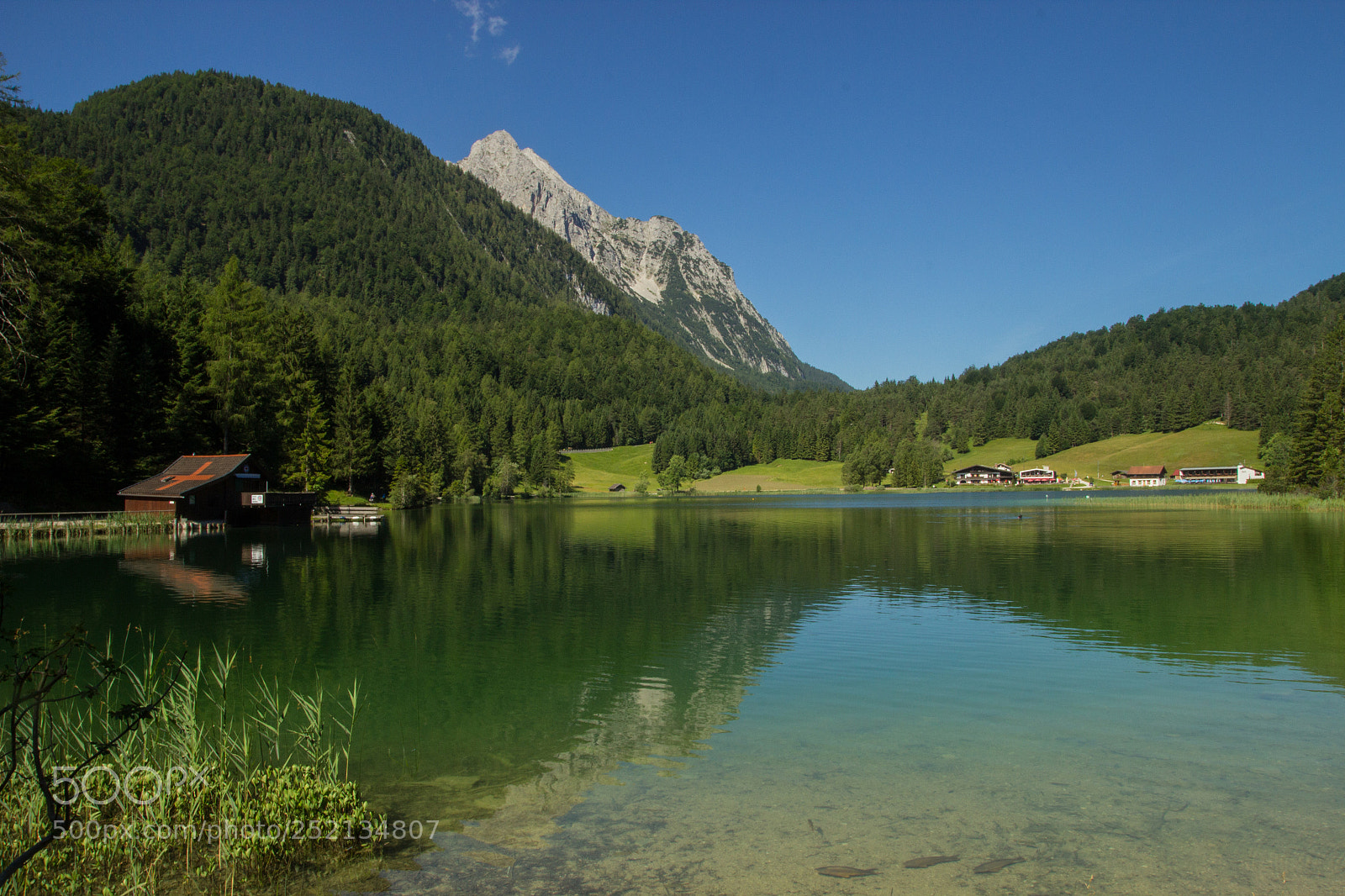 Canon EOS 600D (Rebel EOS T3i / EOS Kiss X5) sample photo. Alps photography
