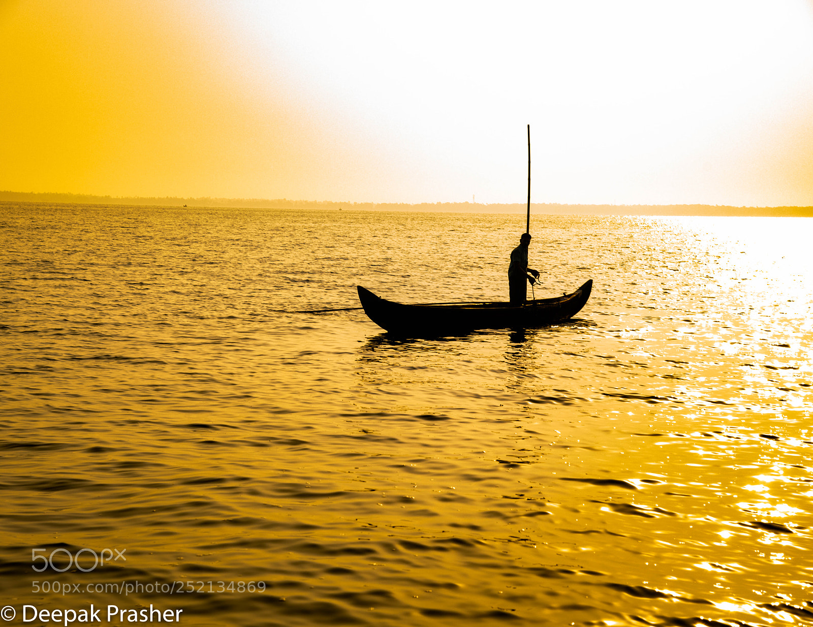 Nikon D850 sample photo. Morning gold photography