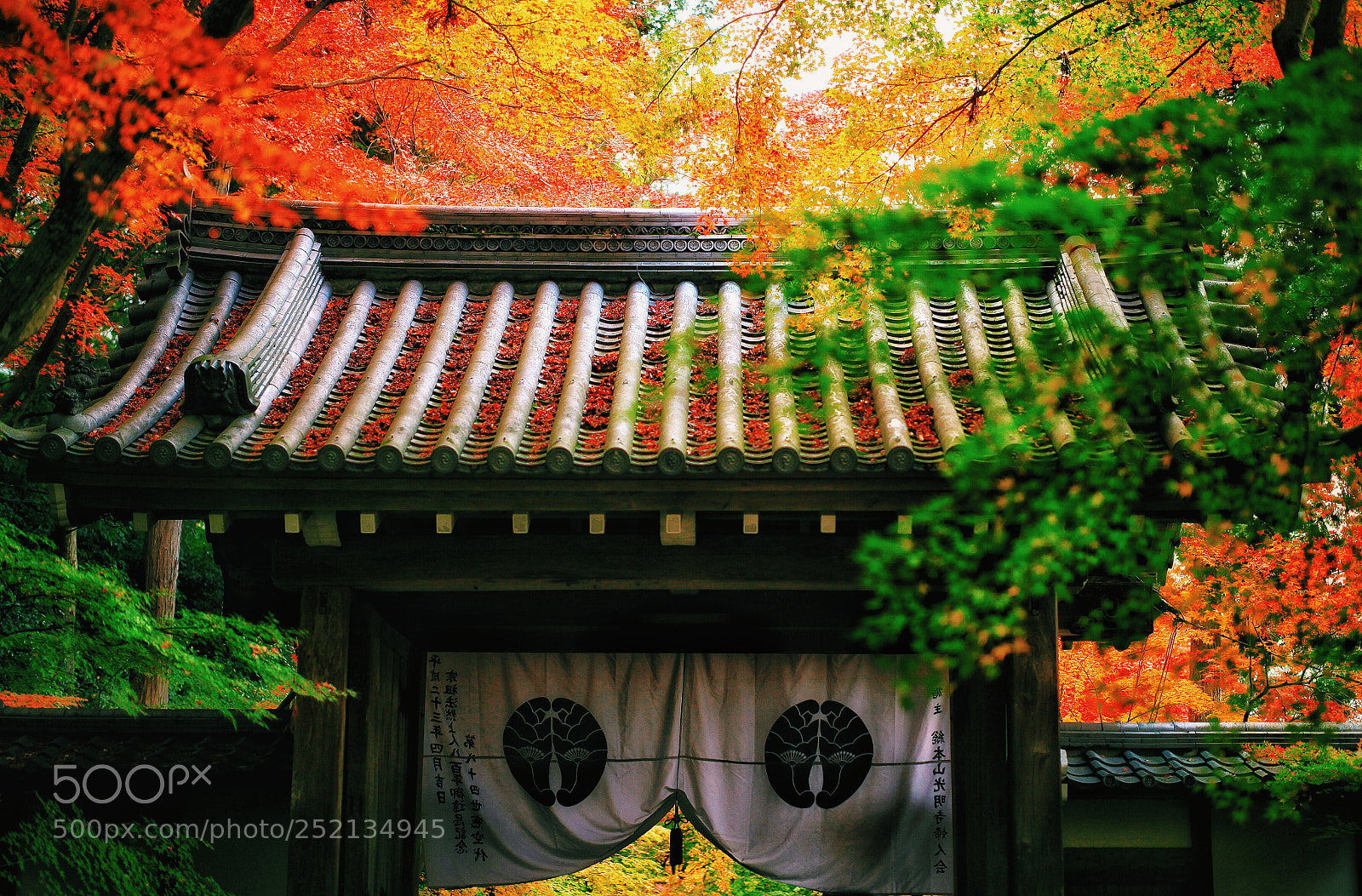 Canon EOS 5D Mark II sample photo. The door of the photography
