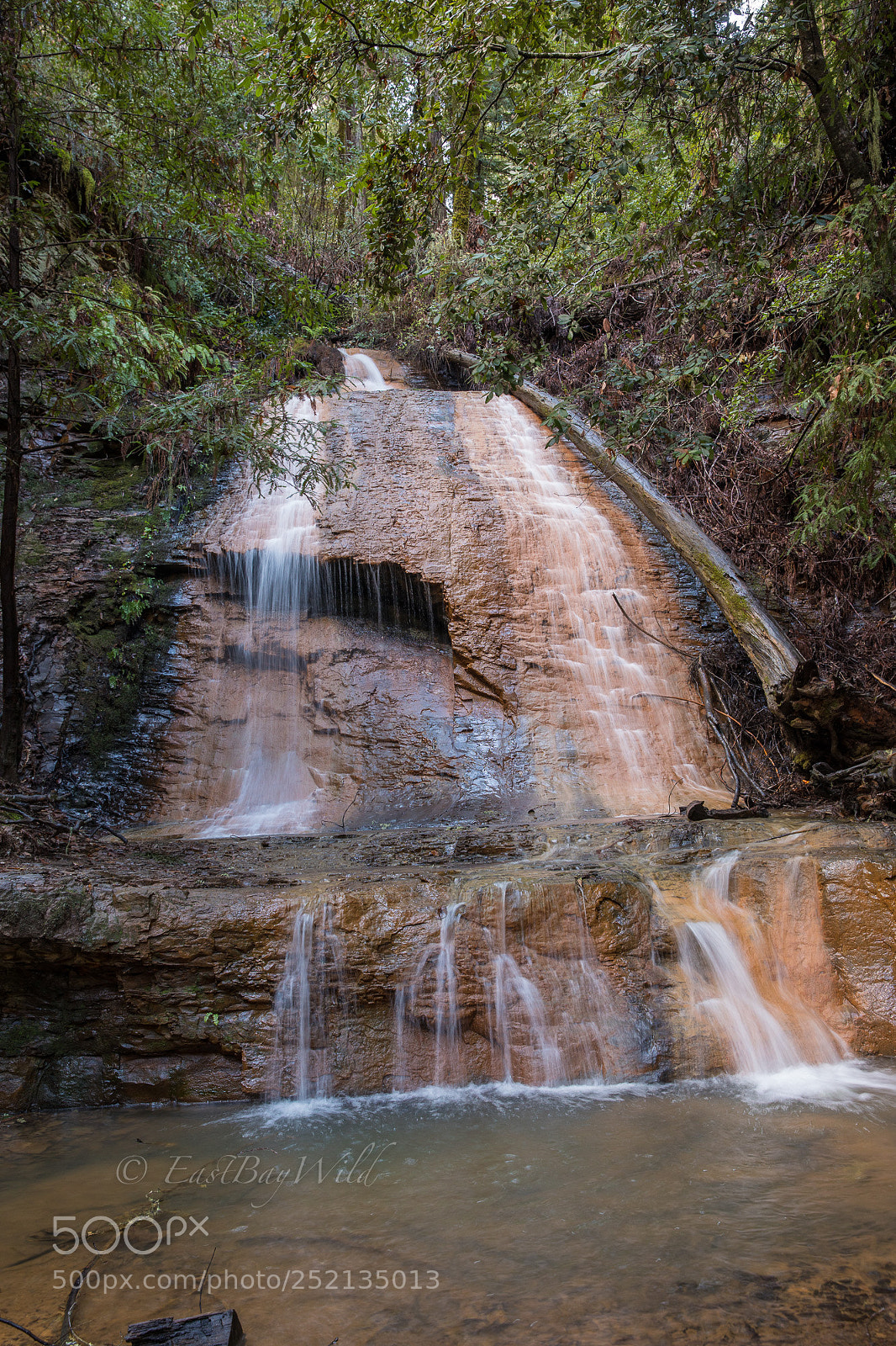 Canon EOS 5D Mark IV sample photo. Golden cascade in big photography