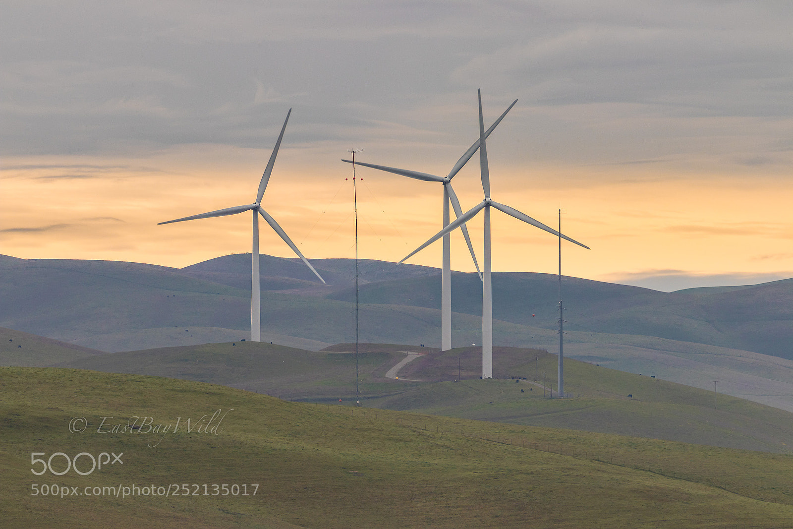 Canon EOS 80D sample photo. Brushy peak windmills photography