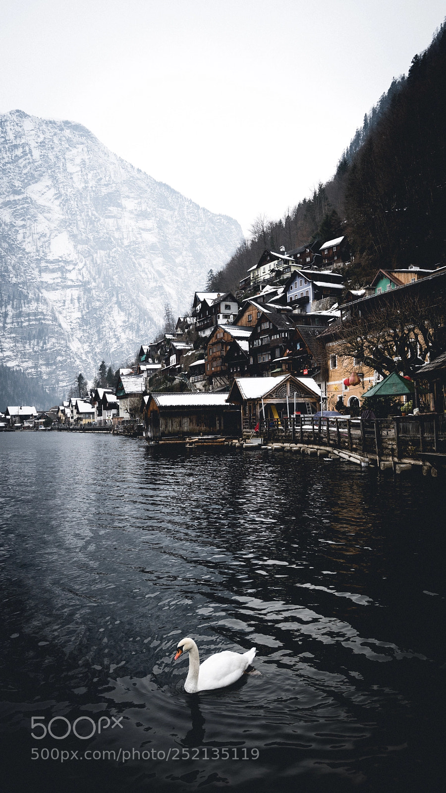 Sony a7 II sample photo. Austrian classics photography
