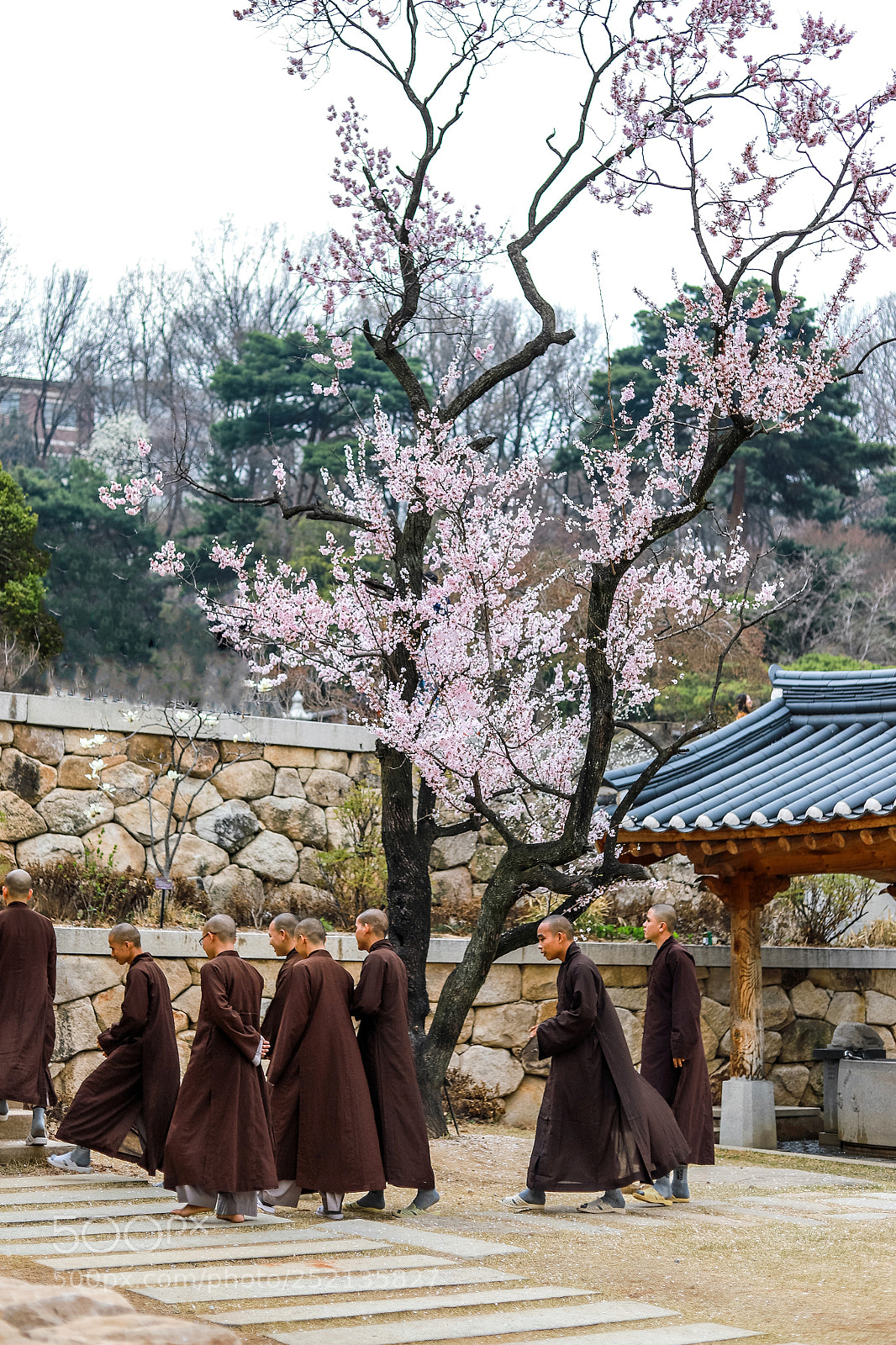 Canon EOS 6D Mark II sample photo. Temple photography