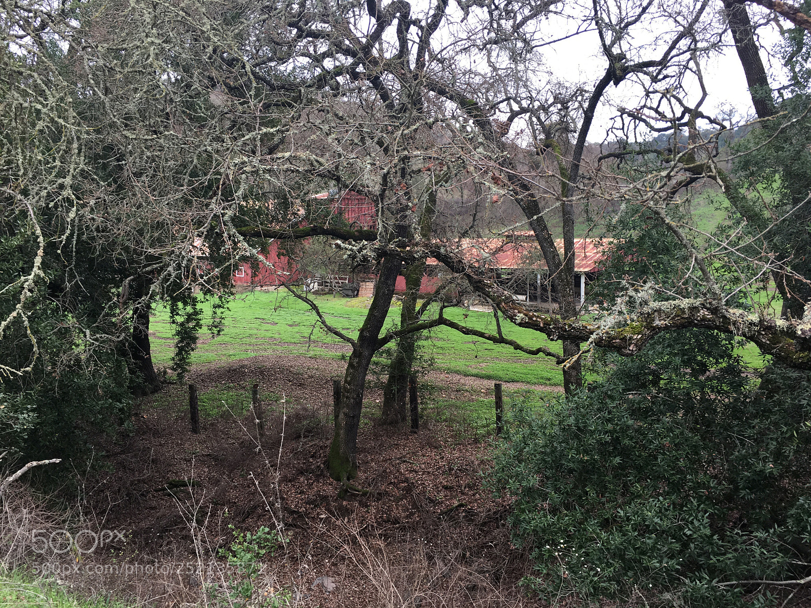 Apple iPhone 6s Plus sample photo. Figueroa trail - hidden photography