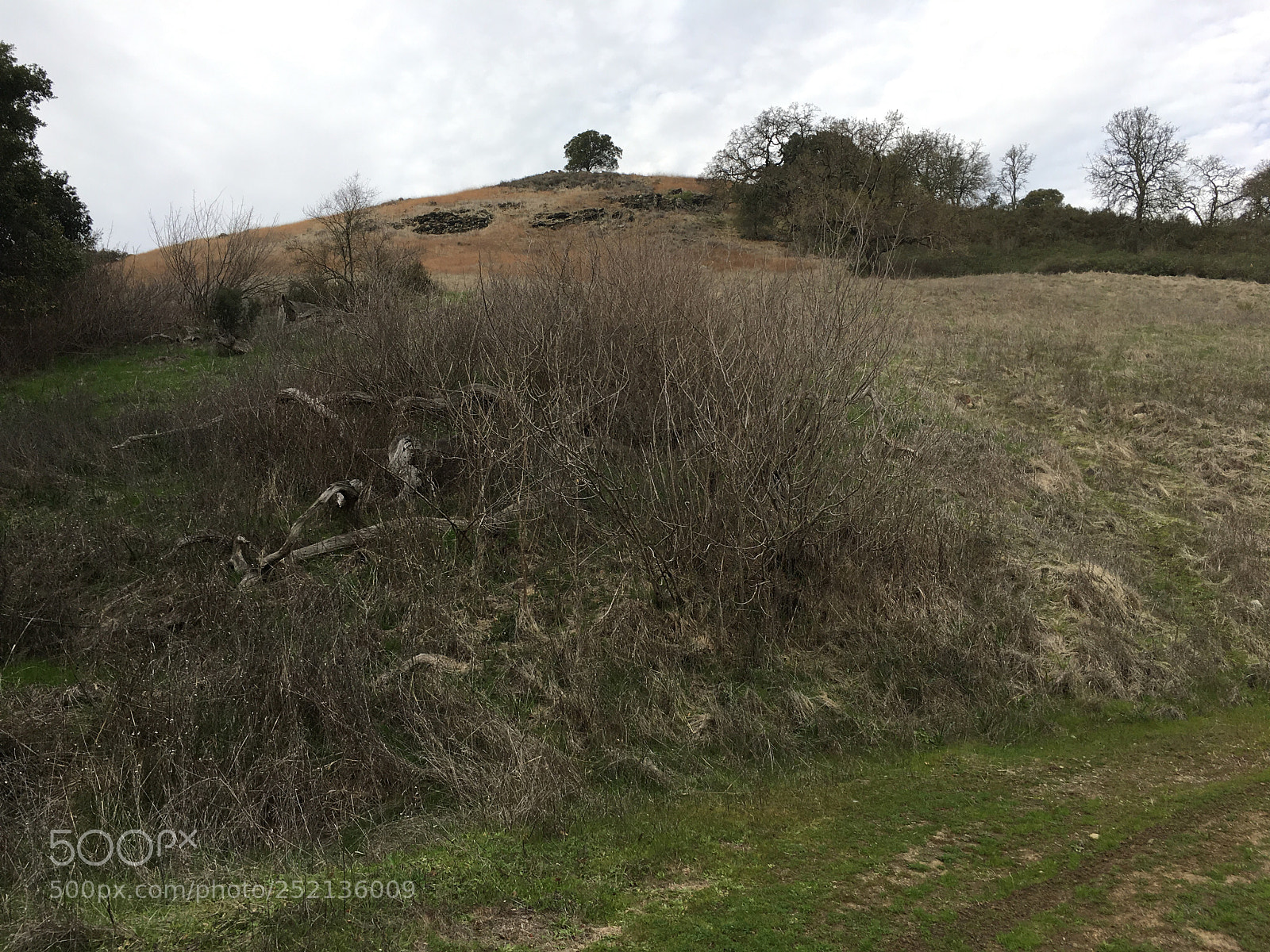 Apple iPhone 6s Plus sample photo. Serpentine loop trail photography