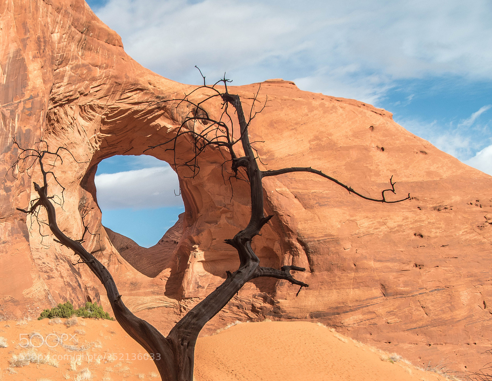 Nikon D5500 sample photo. Ear of the wind photography