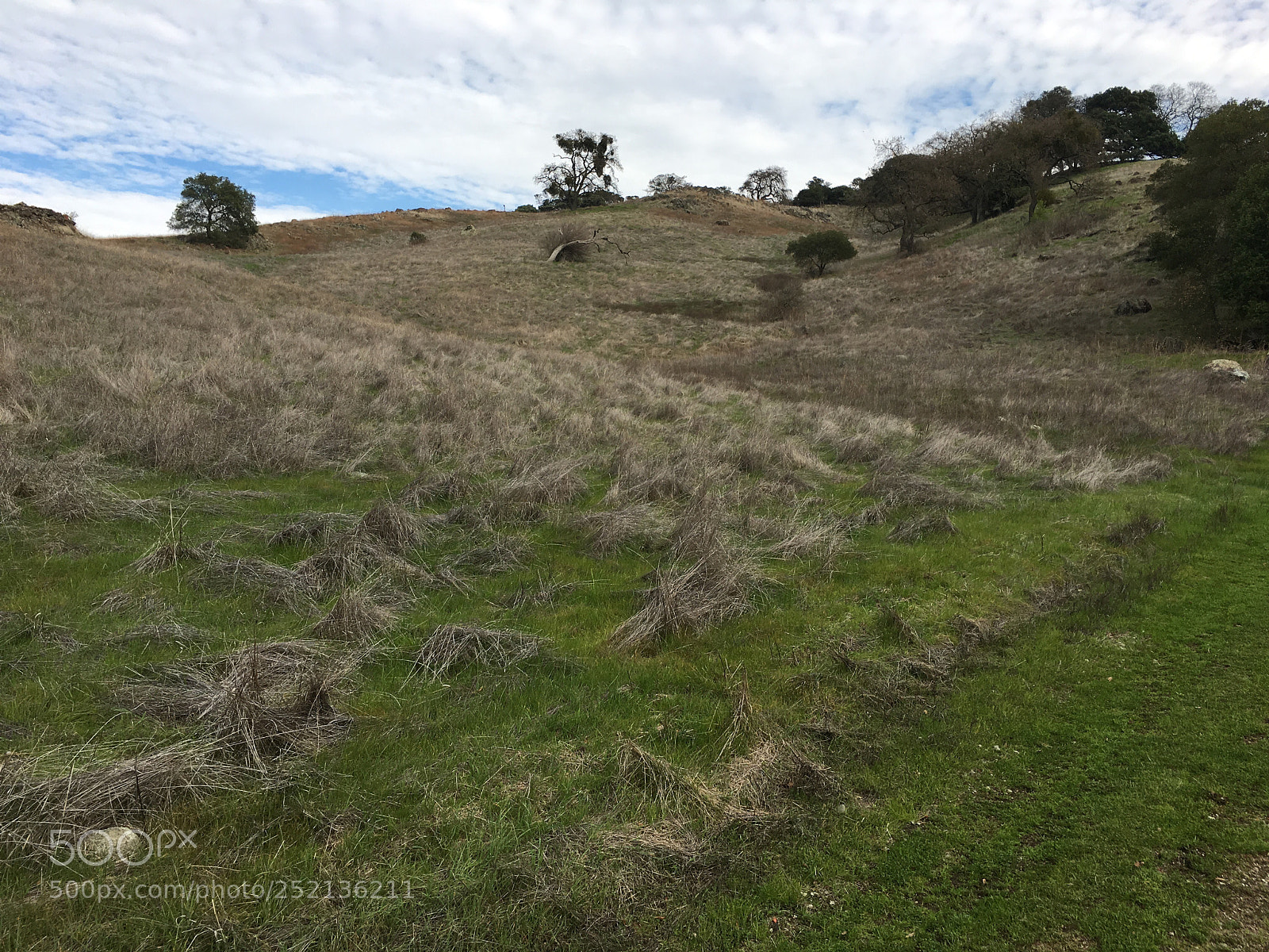 Apple iPhone 6s Plus sample photo. Serpentine loop trail photography