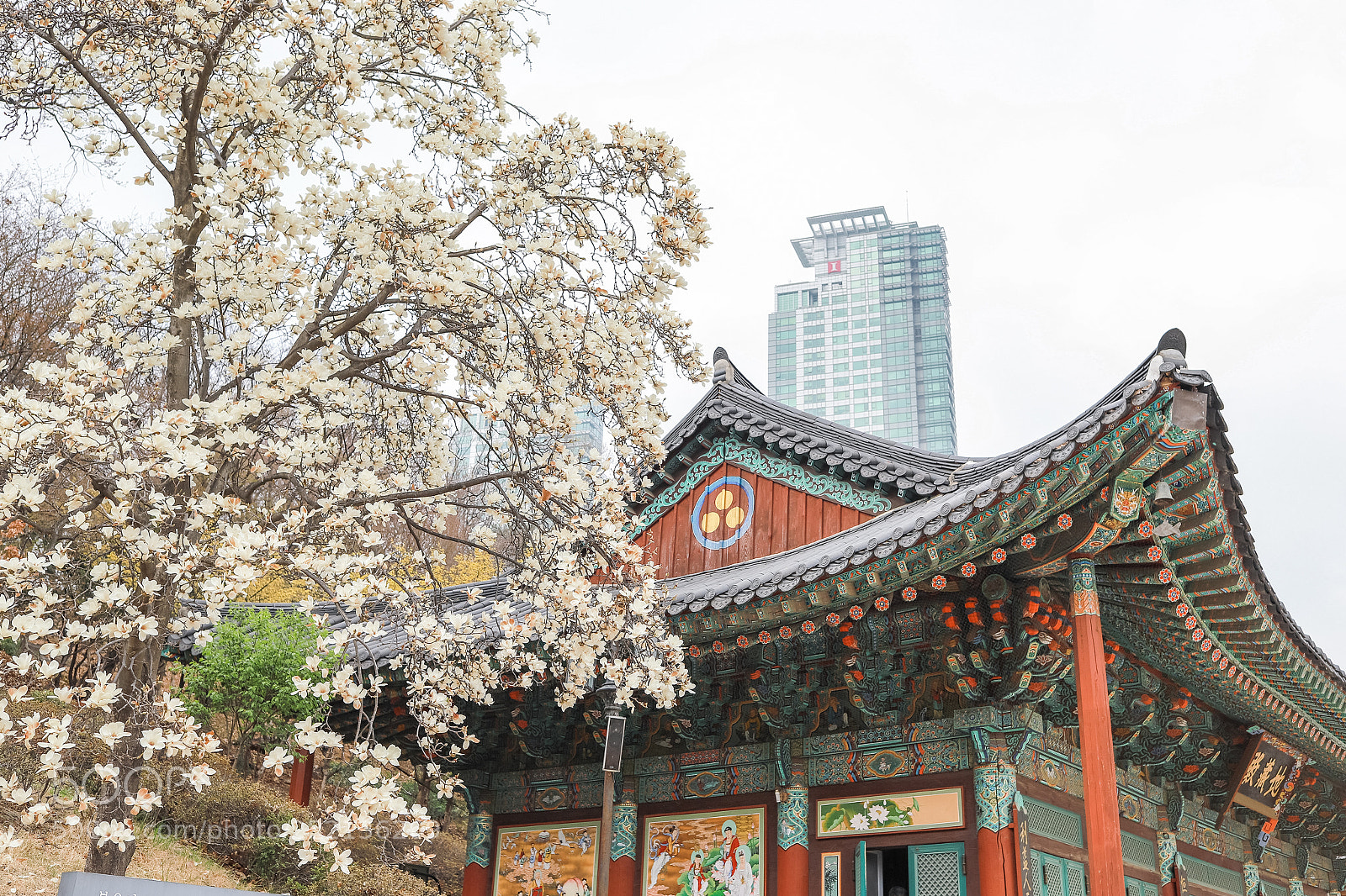 Canon EOS 6D Mark II sample photo. Temple photography