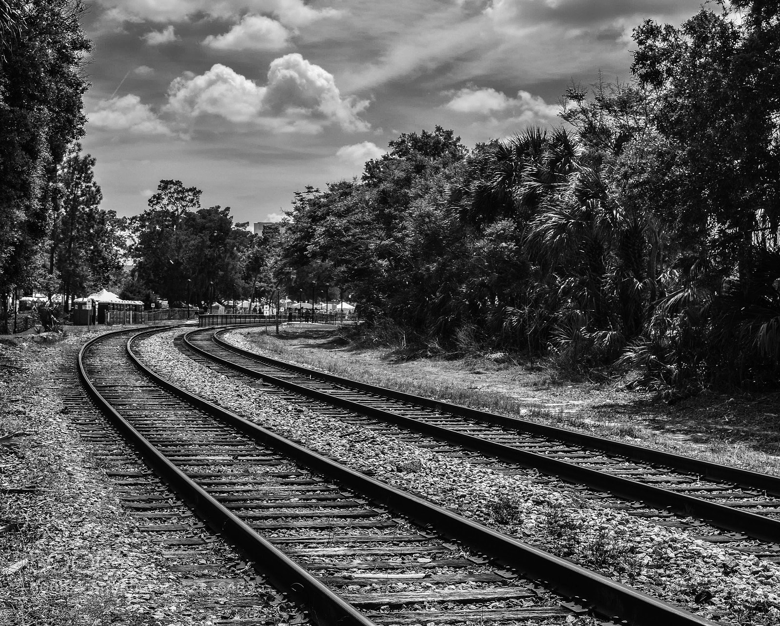 Nikon D5300 sample photo. Untitled photography