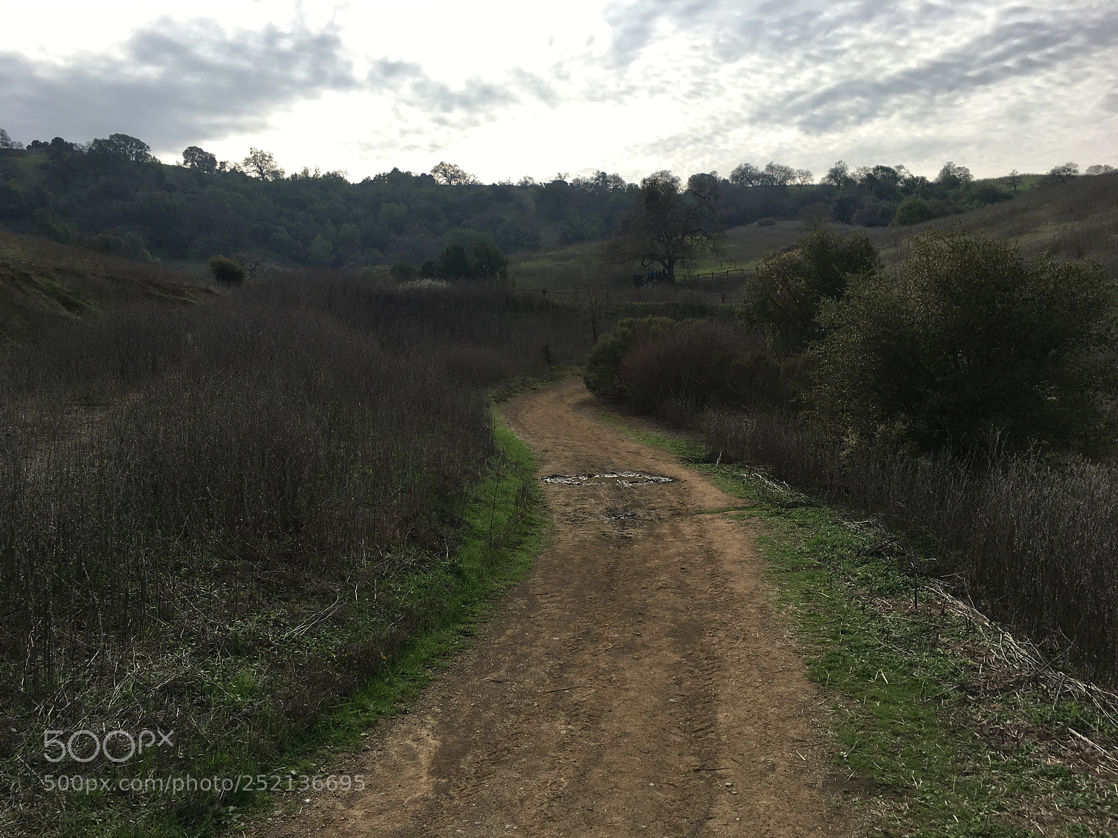Apple iPhone 6s Plus sample photo. Los cerritos trail photography
