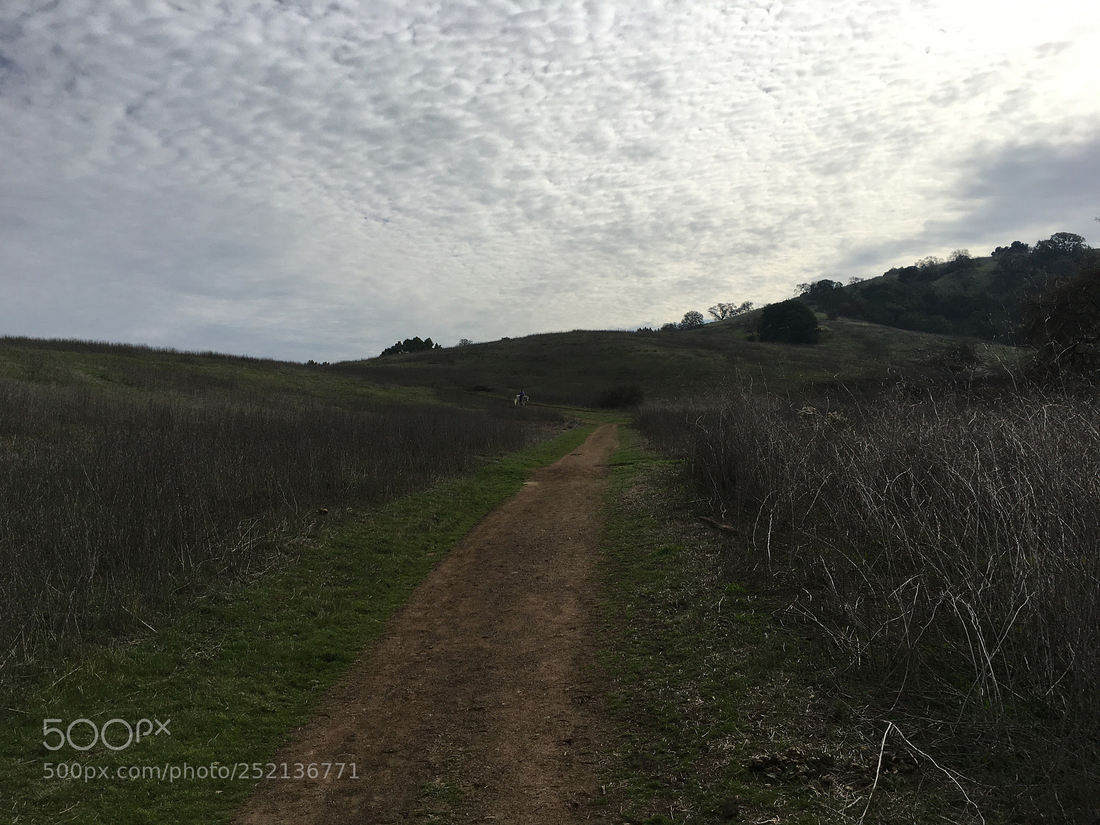 Apple iPhone 6s Plus sample photo. Access trail - horseback photography