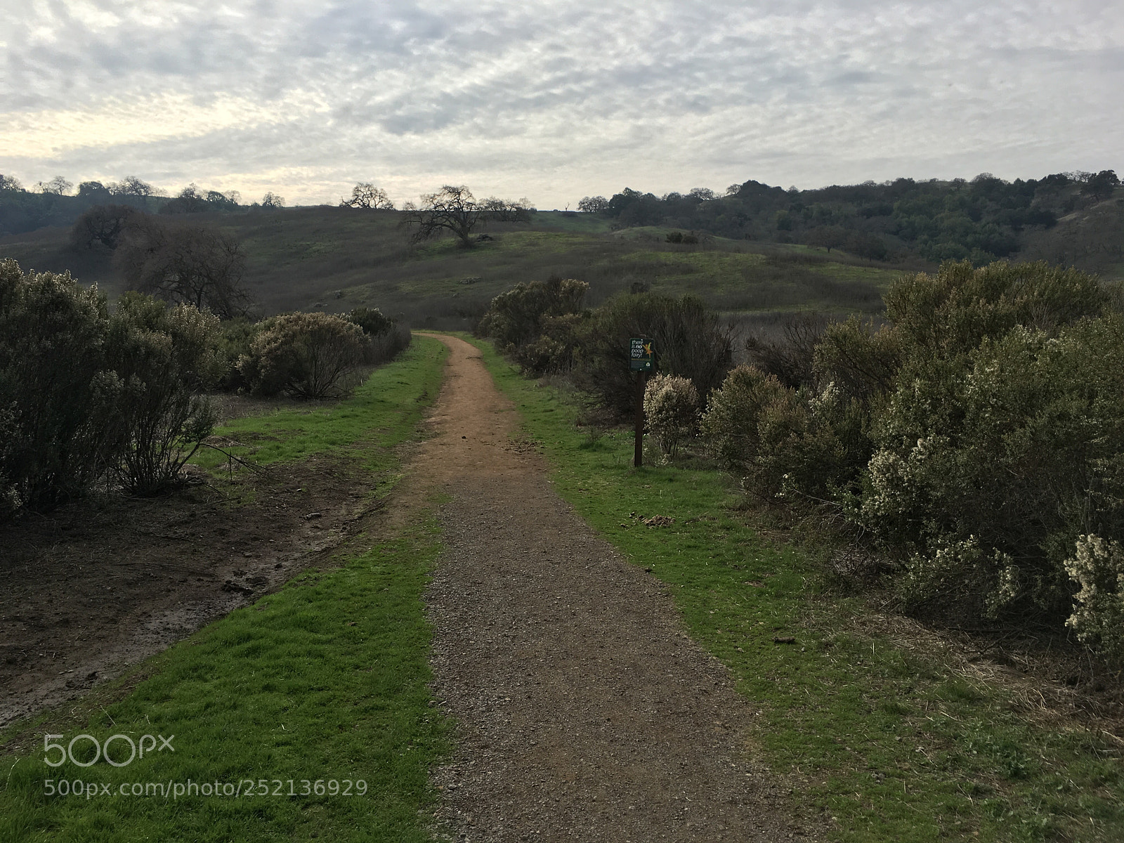 Apple iPhone 6s Plus sample photo. Access trail - convergence photography