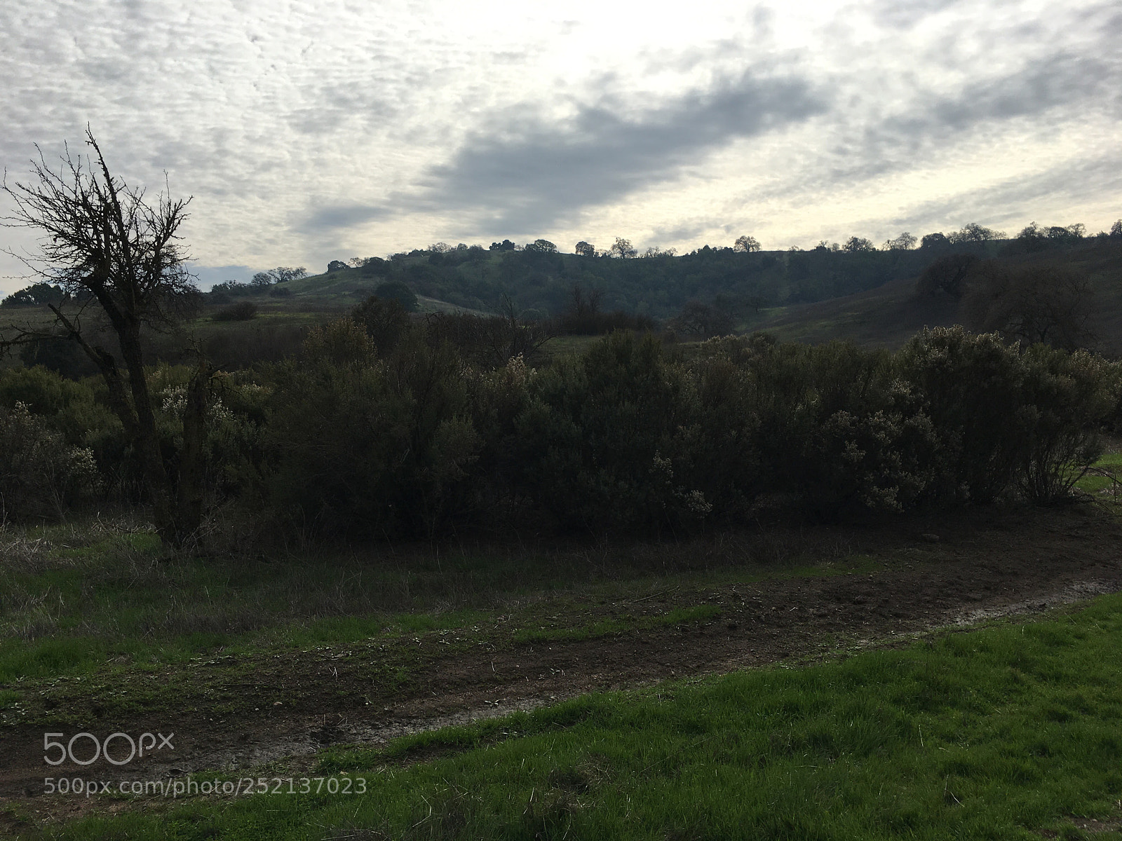 Apple iPhone 6s Plus sample photo. Access trail - it photography