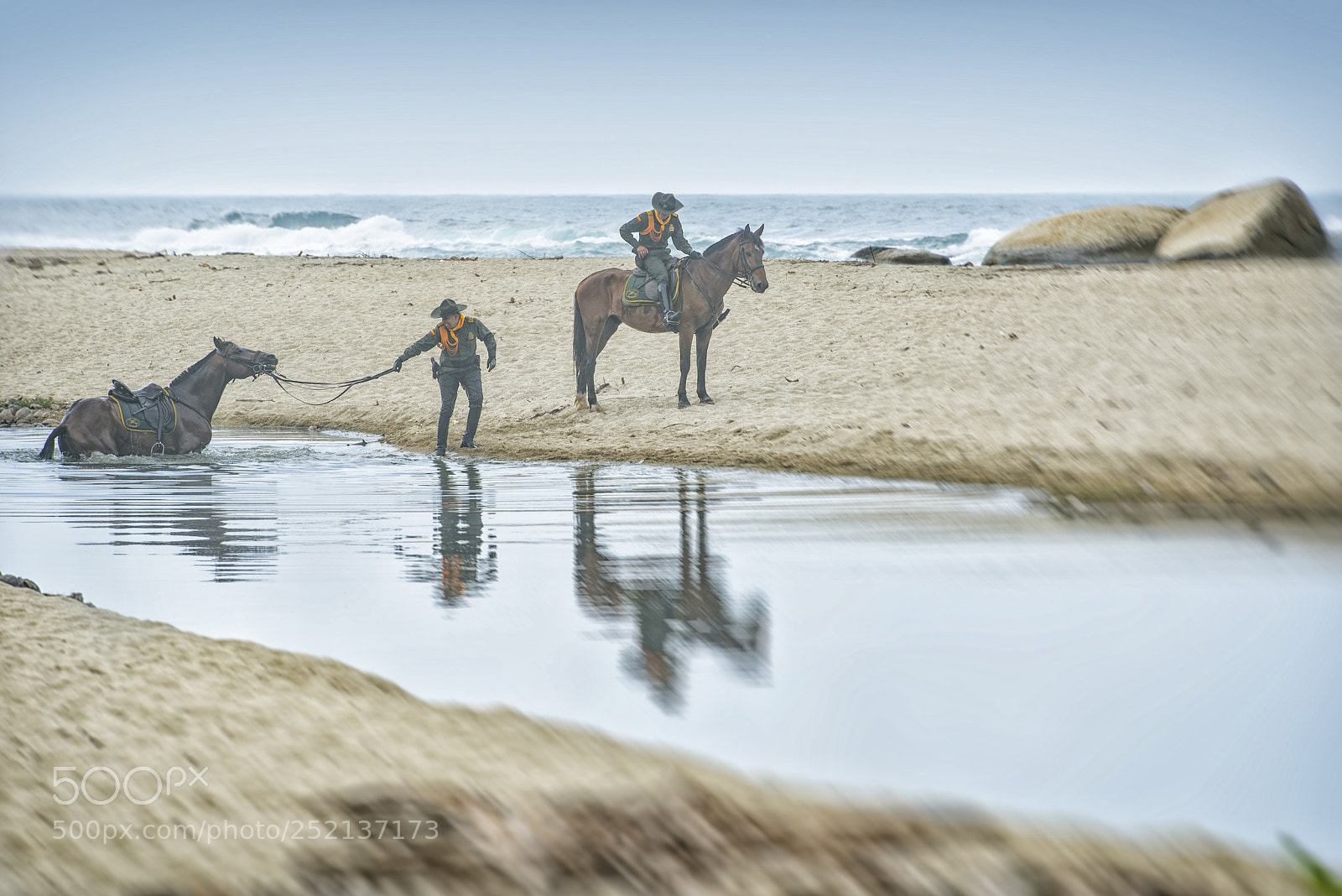 Nikon D800E sample photo. Colombian mounted police photography