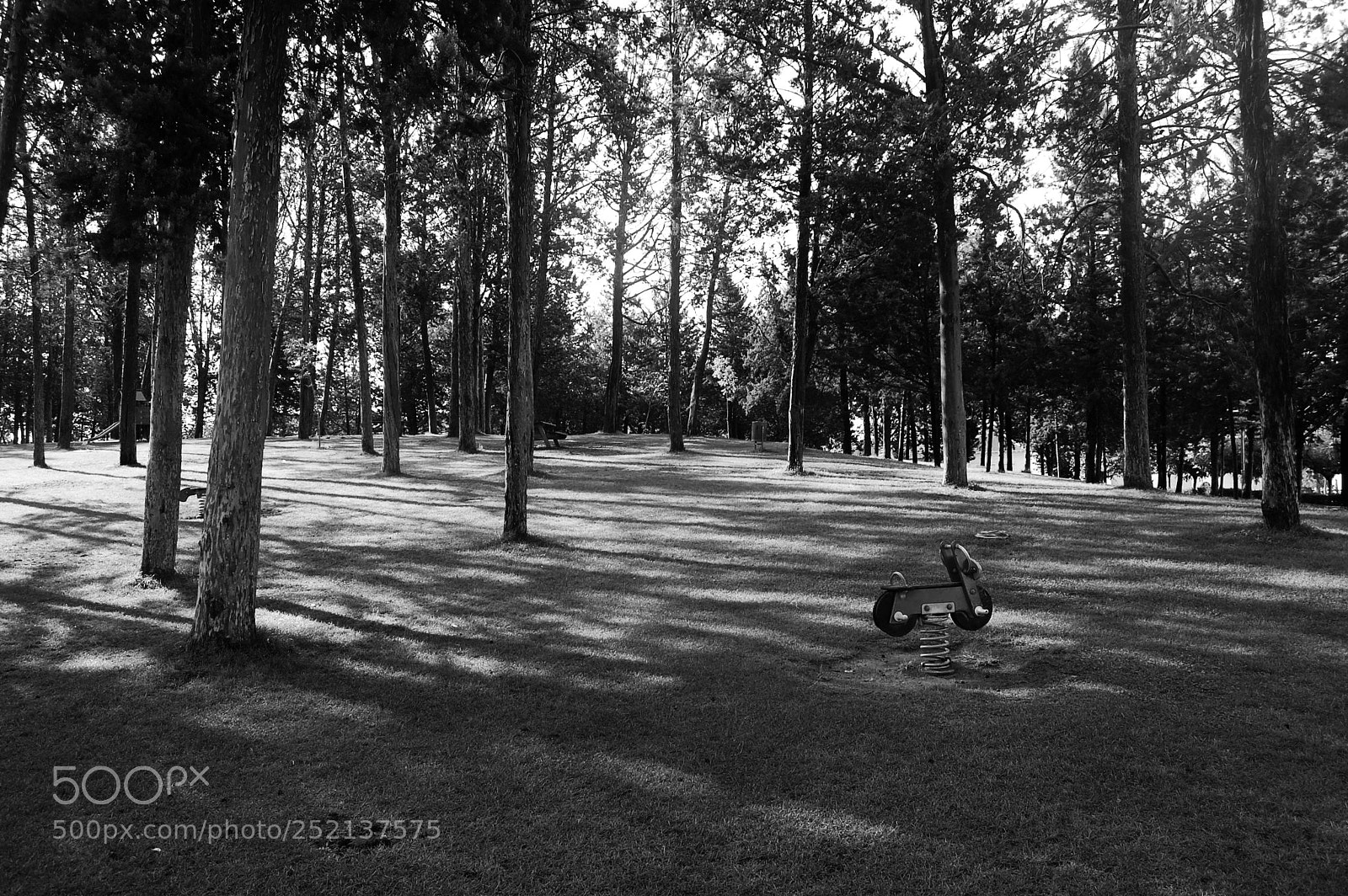 Nikon D40 sample photo. En el parque photography