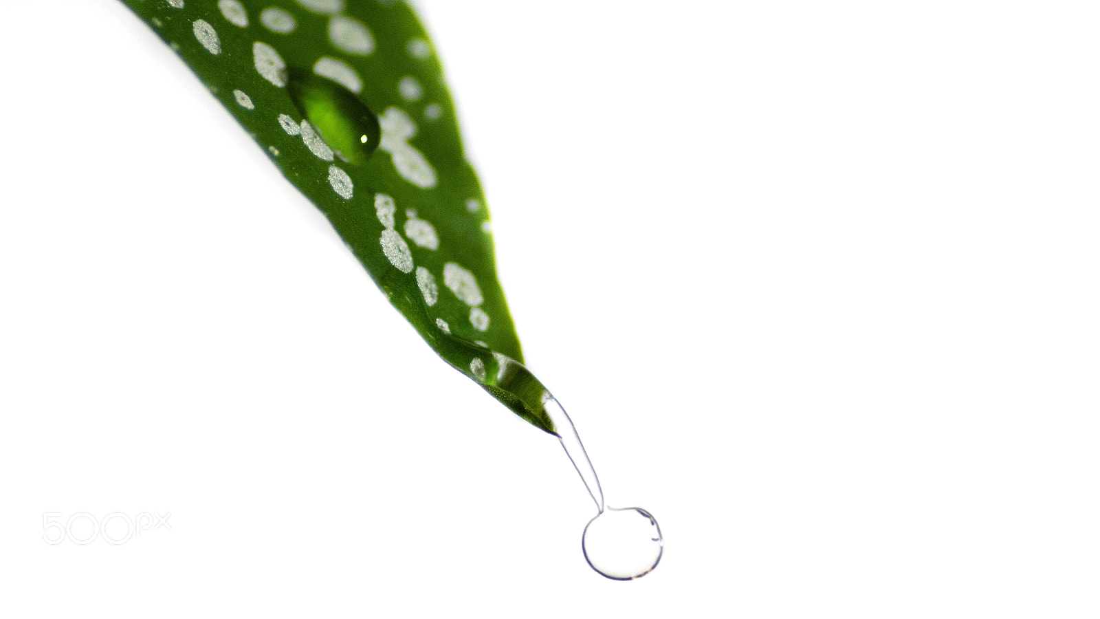 Nikon D5500 sample photo. Rain photography