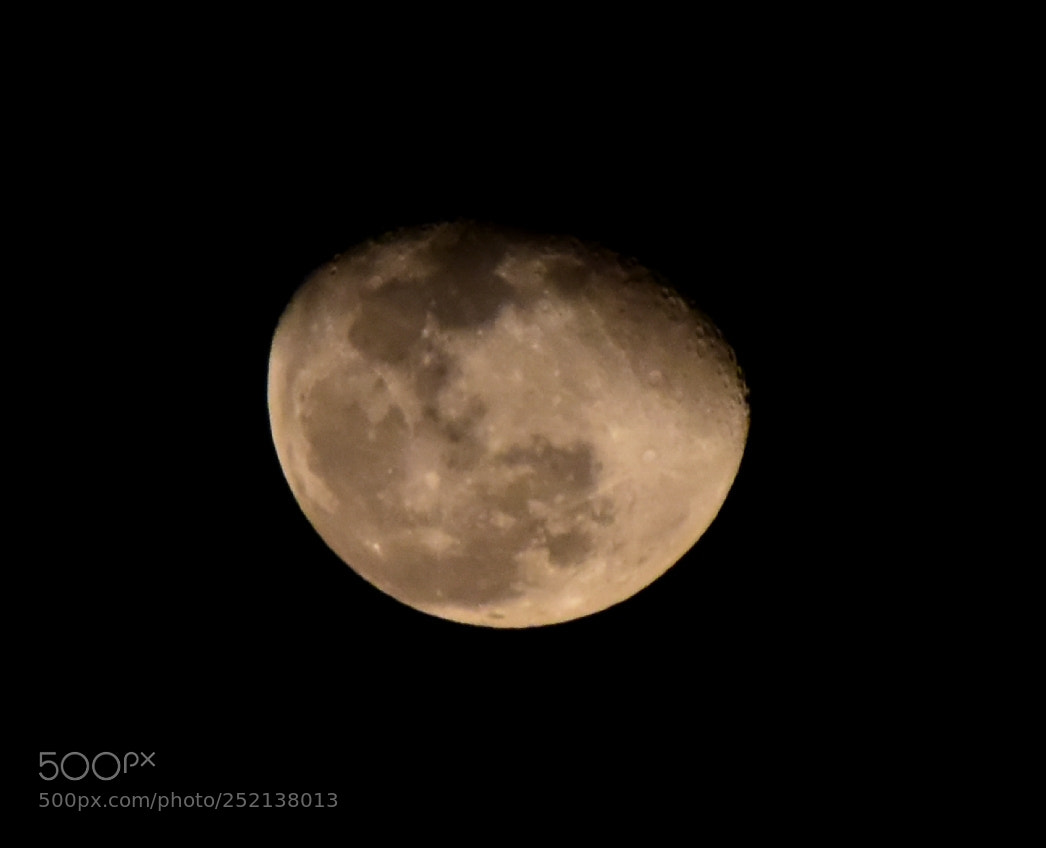 Nikon D5600 sample photo. Red moon photography
