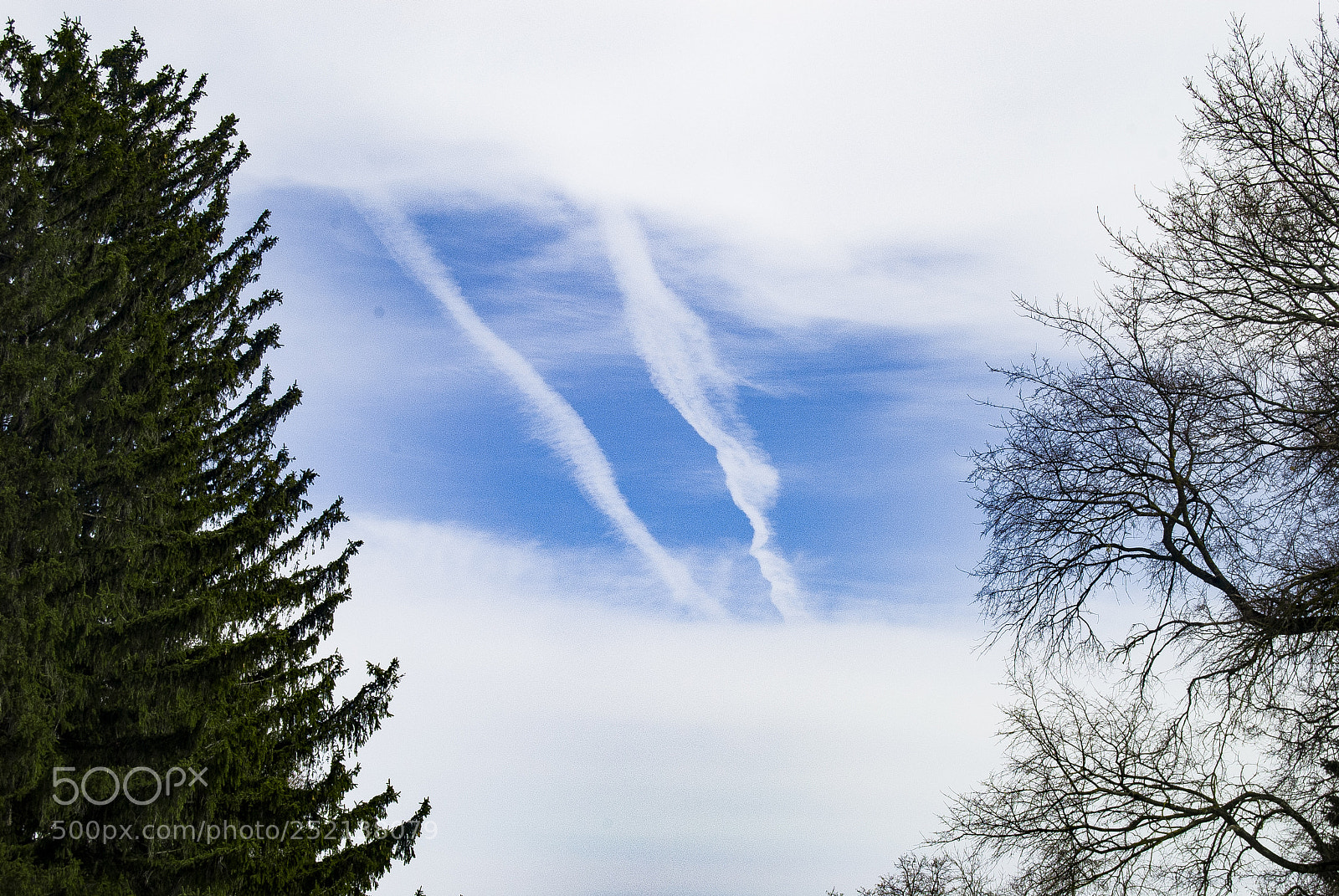 Nikon D3000 sample photo. Sleepers photography