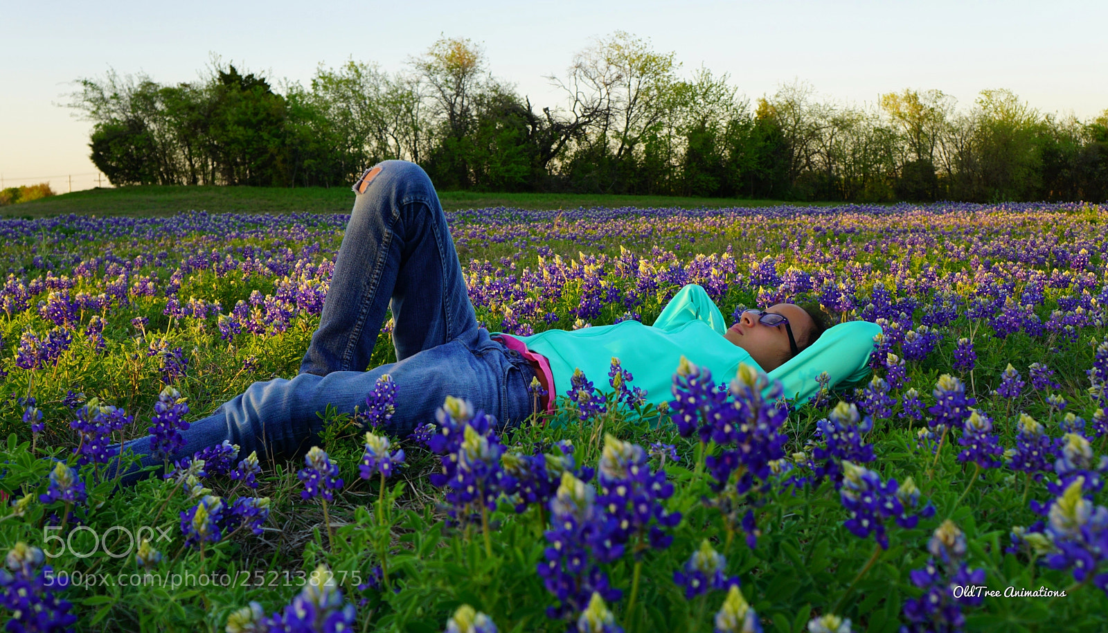 Sony a6000 sample photo. Dream big ... fly high! photography
