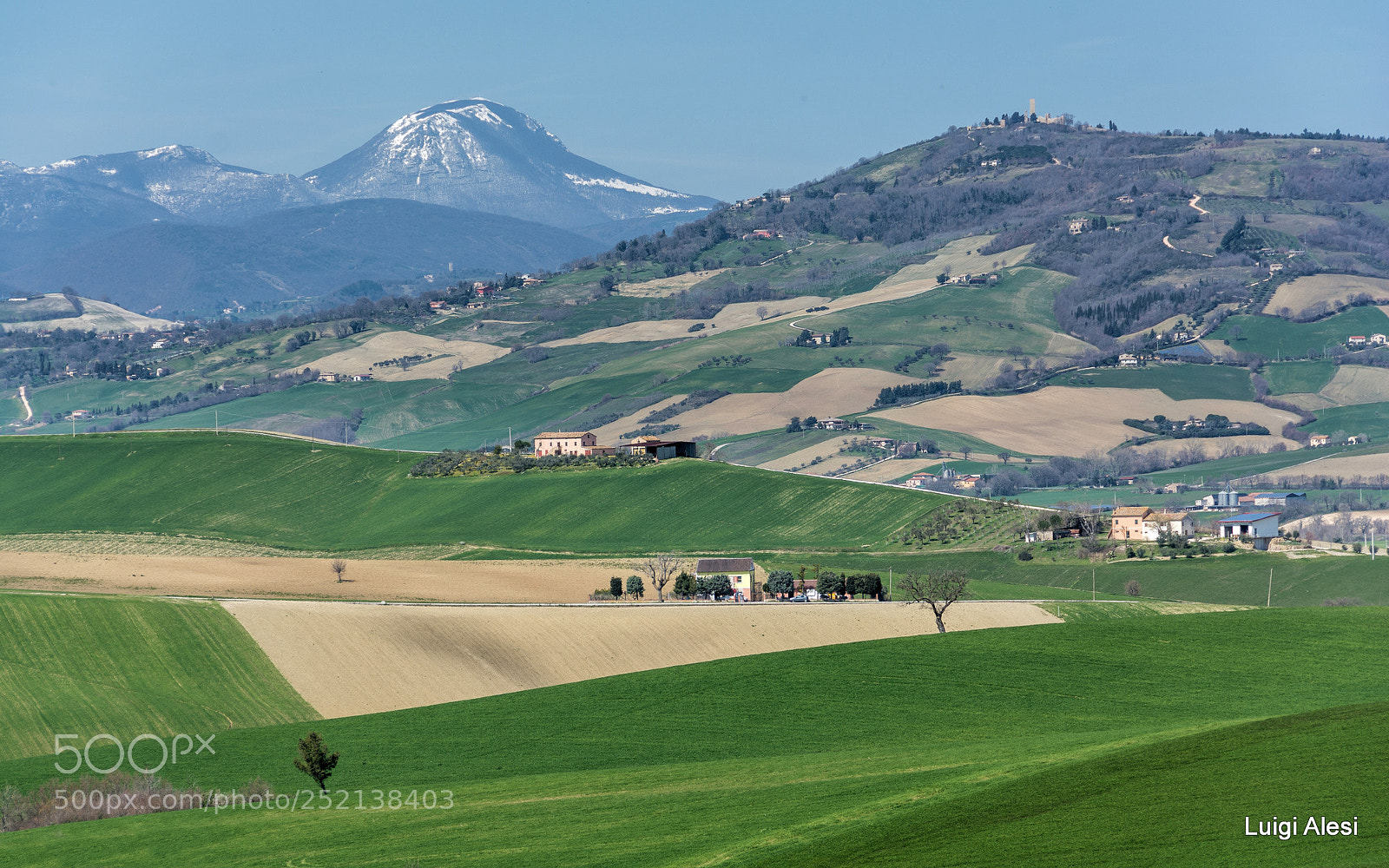 Nikon D7100 sample photo. Marche photography
