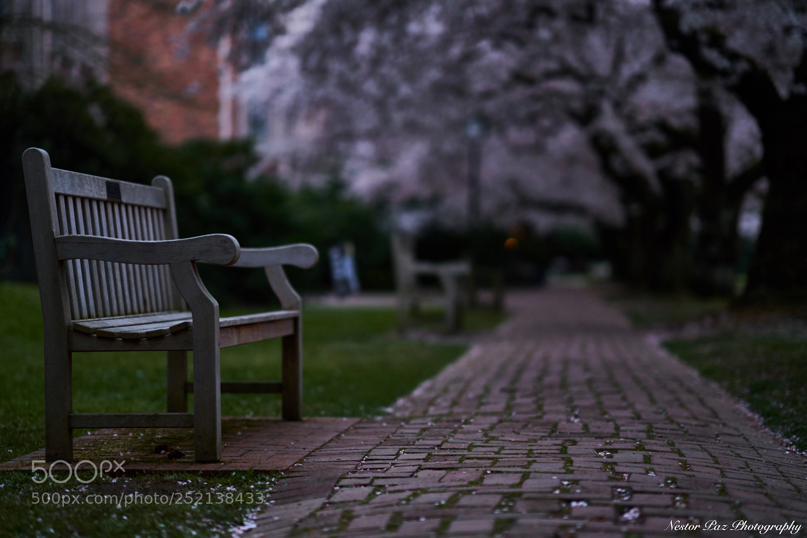 Sony a7R III sample photo. Untitled photography