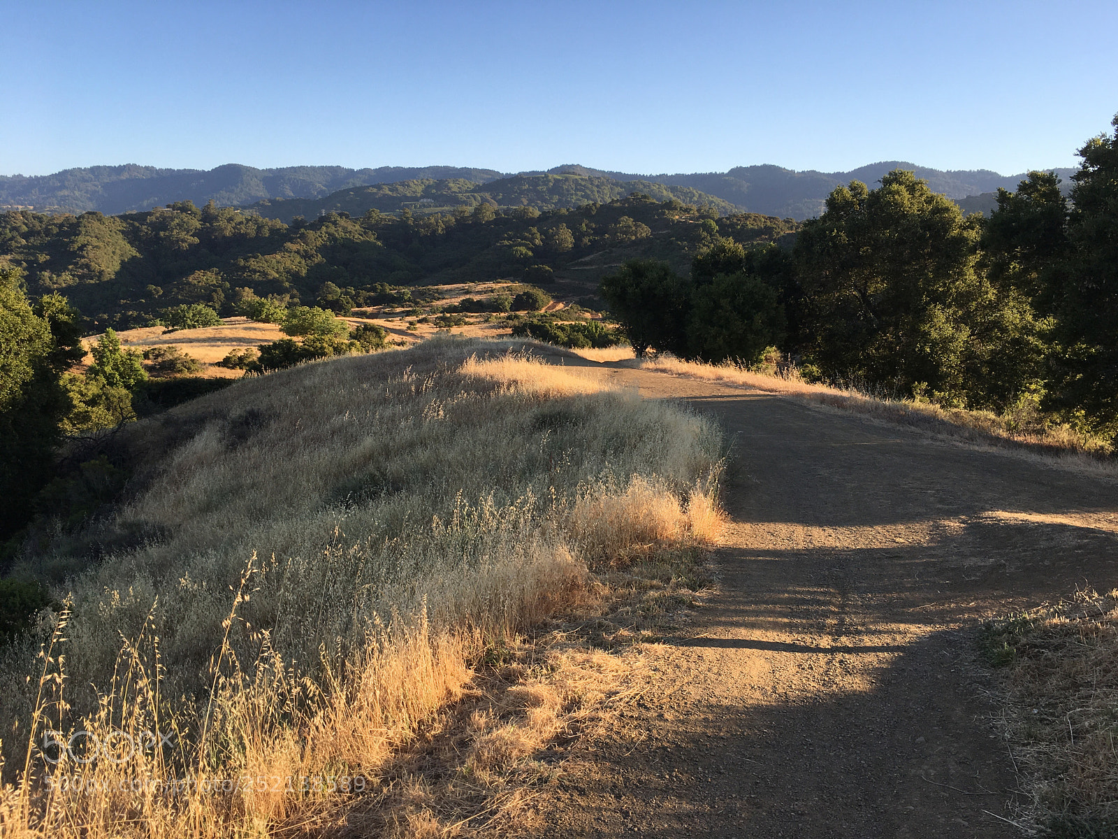 Apple iPhone 6s Plus sample photo. Woodhills trail - winding photography