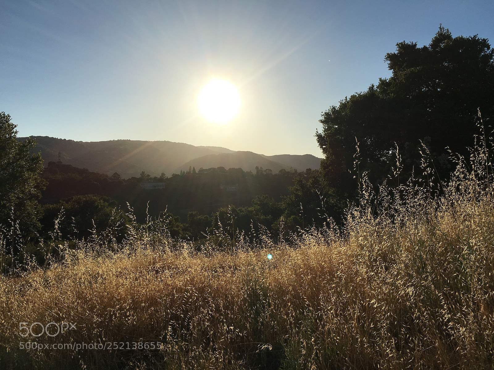 Apple iPhone 6s Plus sample photo. Woodhills trail - hayfield photography