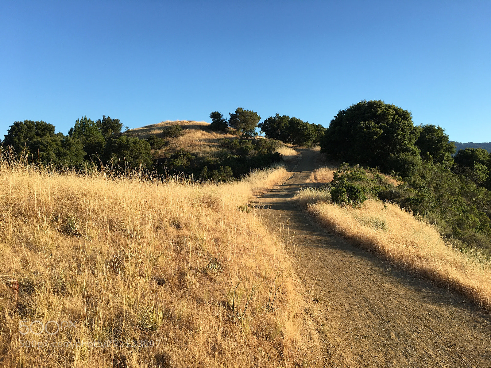 Apple iPhone 6s Plus sample photo. Woodhills trail - winding photography