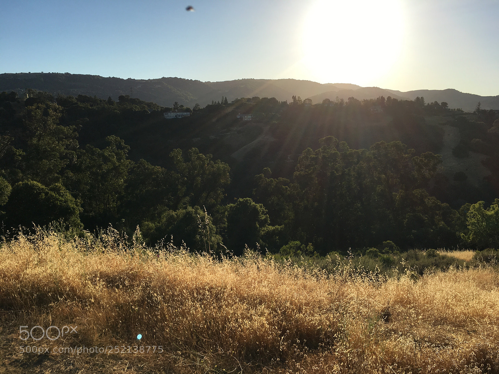 Apple iPhone 6s Plus sample photo. Woodhills trail - sunset photography