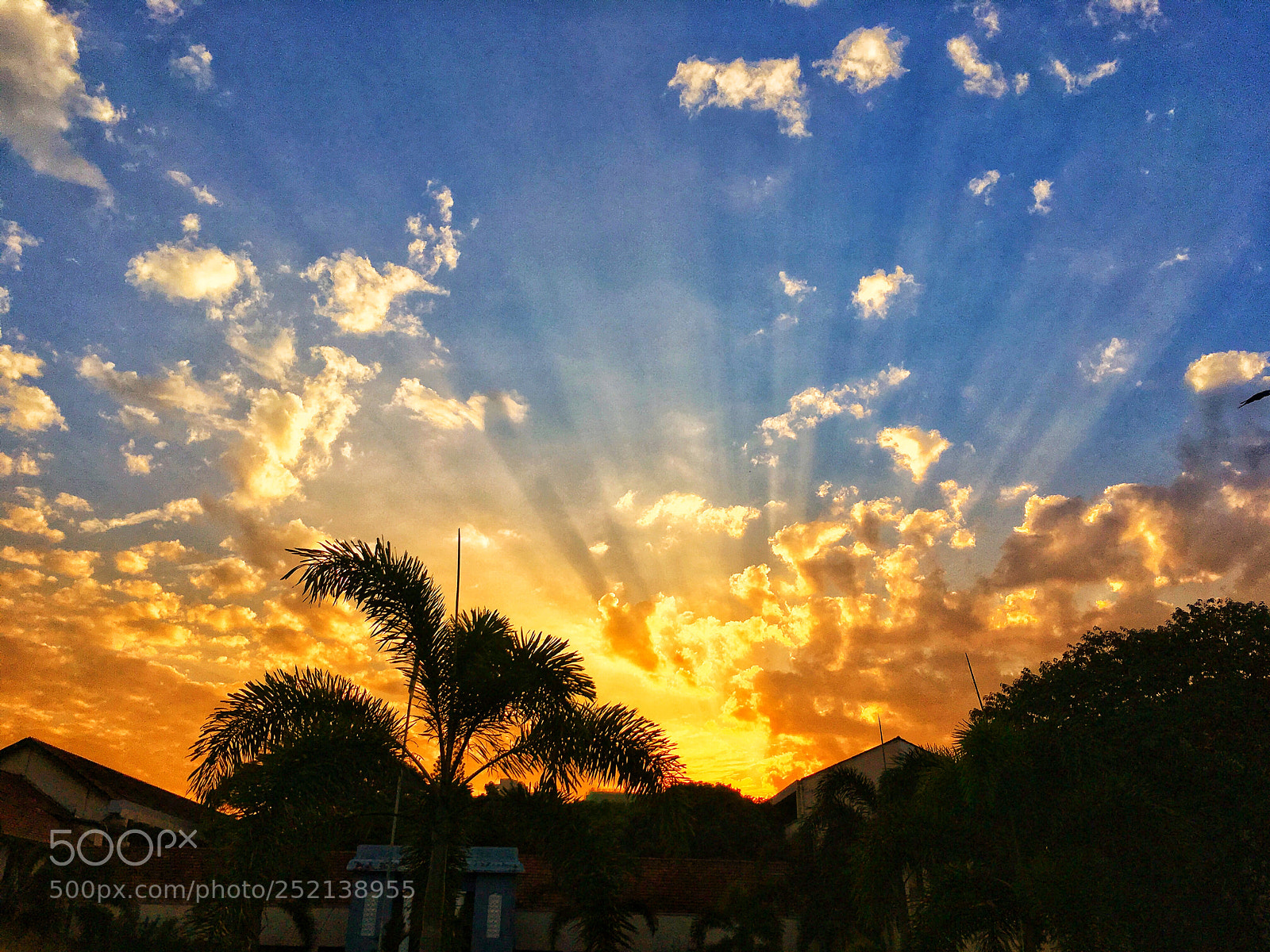 Apple iPhone SE sample photo. Morning sunrays.. photography