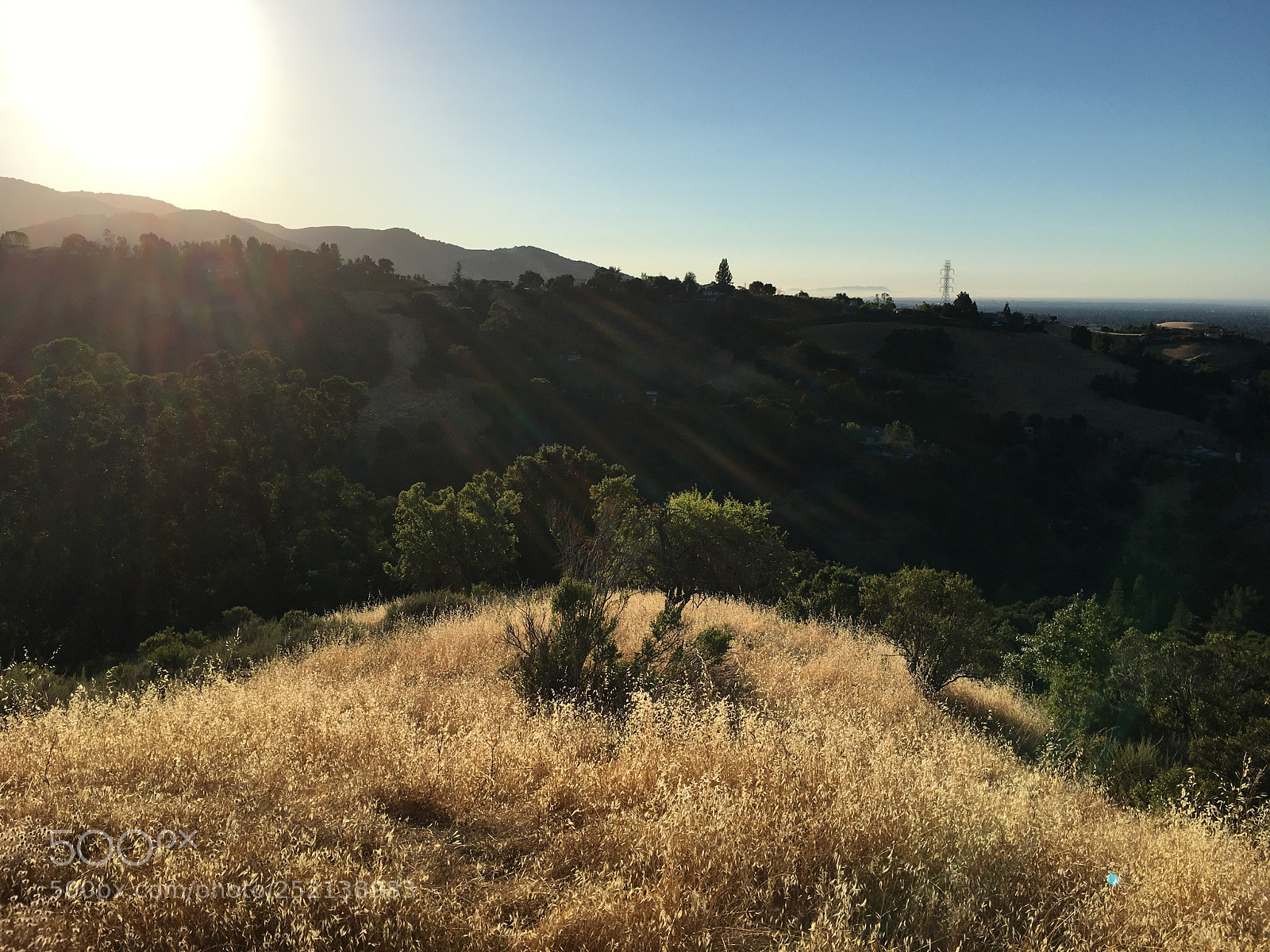 Apple iPhone 6s Plus sample photo. Woodhills trail - vista photography
