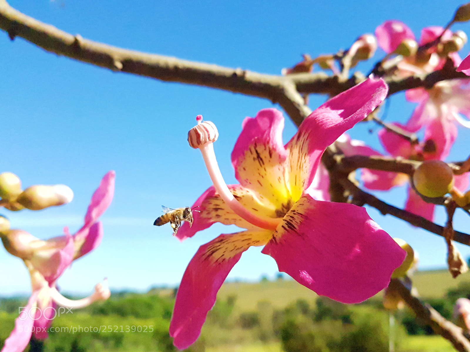 Samsung Galaxy S7 Edge sample photo. Untitled photography