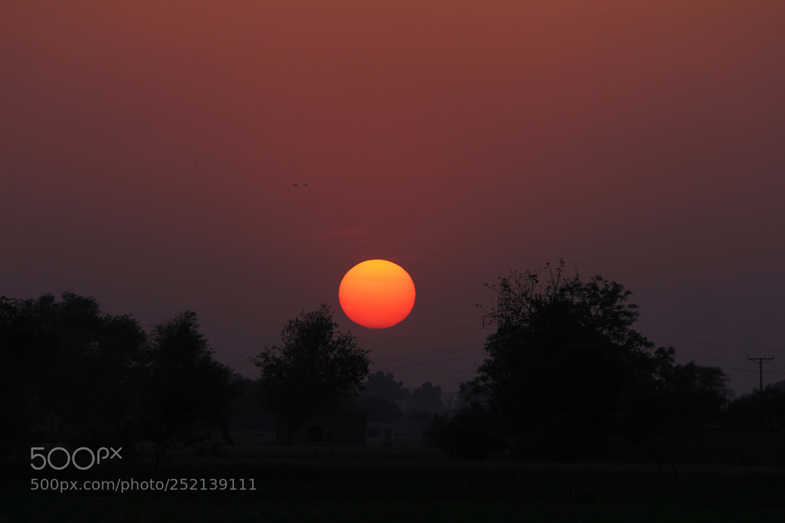 Canon EOS 60D sample photo. Untitled photography