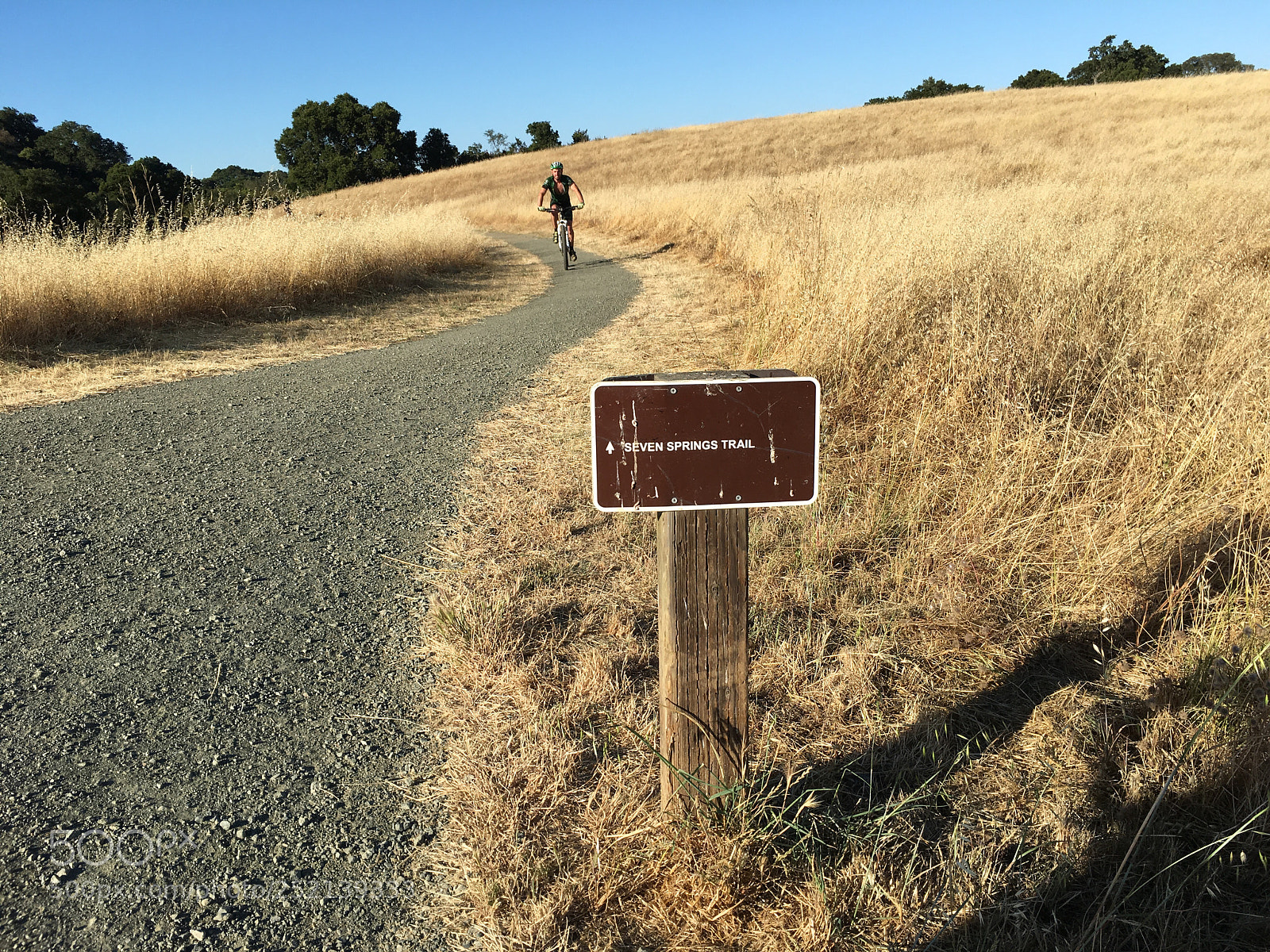 Apple iPhone 6s Plus sample photo. Seven springs loop trail photography