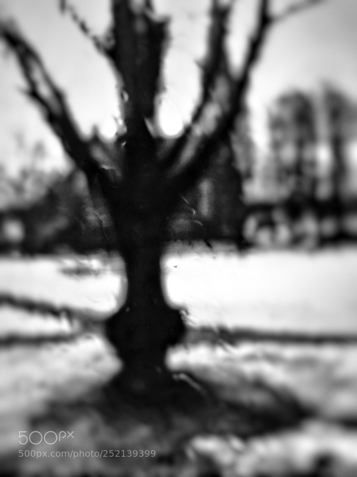 Samsung Galaxy S4 sample photo. Ut 644 photography