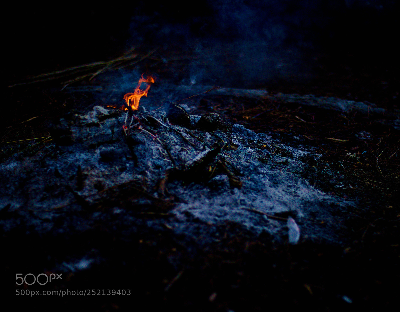 Nikon D810 sample photo. Ash and fire photography