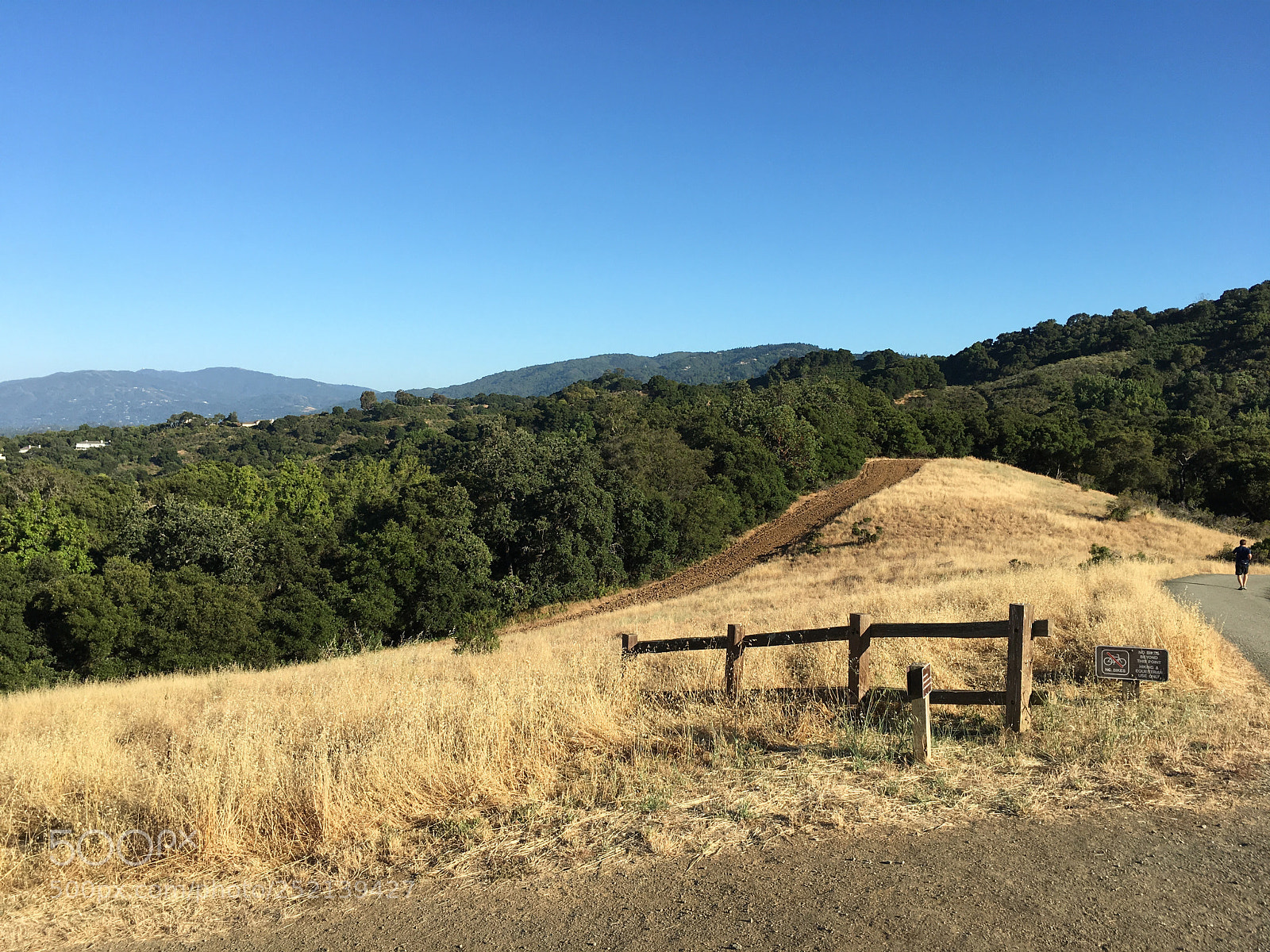 Apple iPhone 6s Plus sample photo. Cora older trail photography