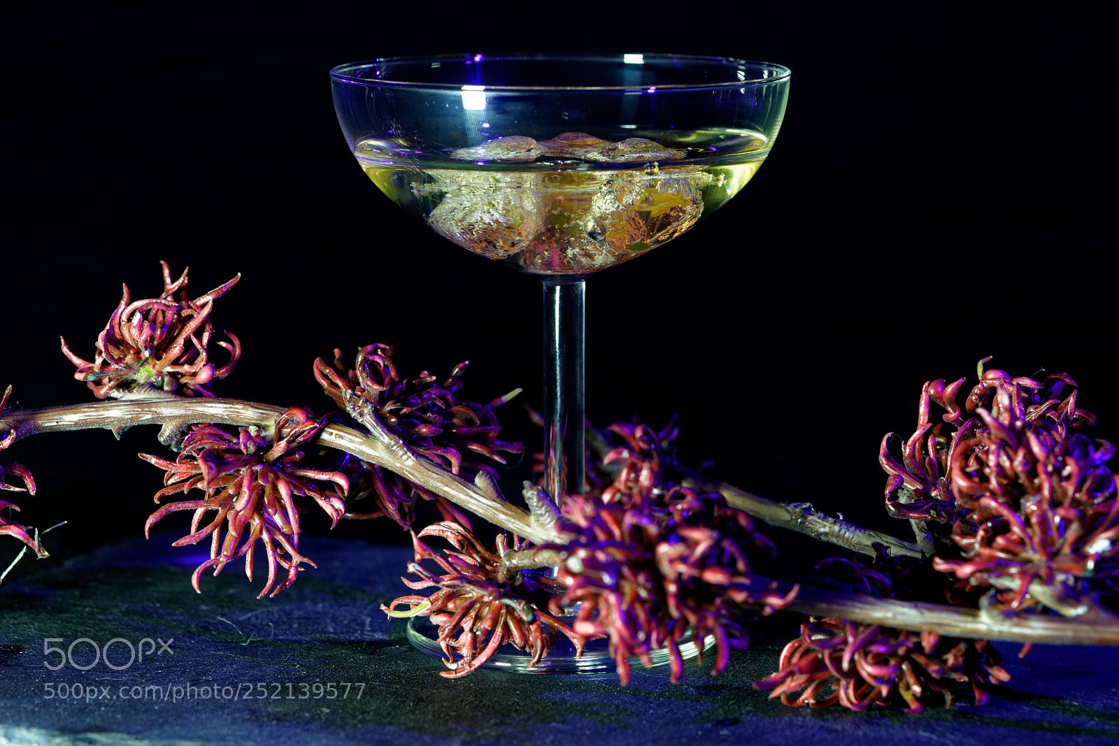 Sony a7R II sample photo. Molecular aperitive (1) photography