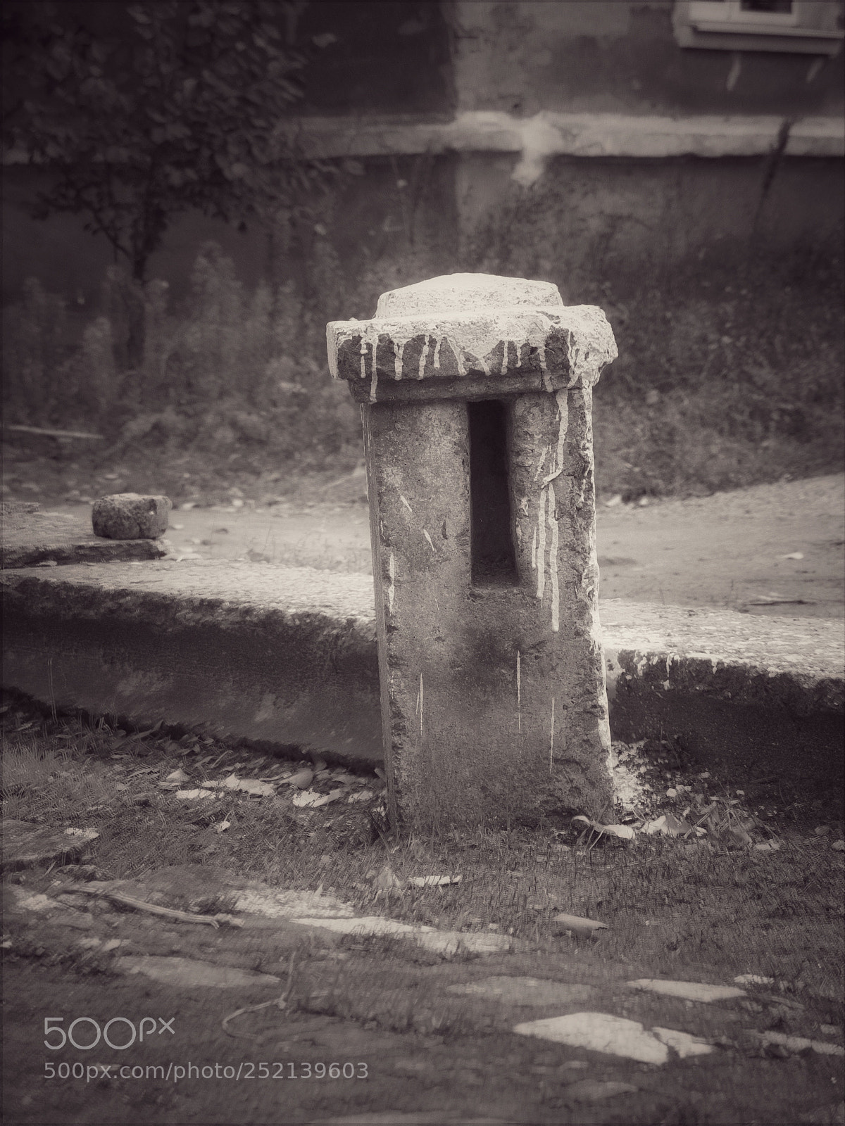 Fujifilm X20 sample photo. 3545 ( ver. vertical ) photography