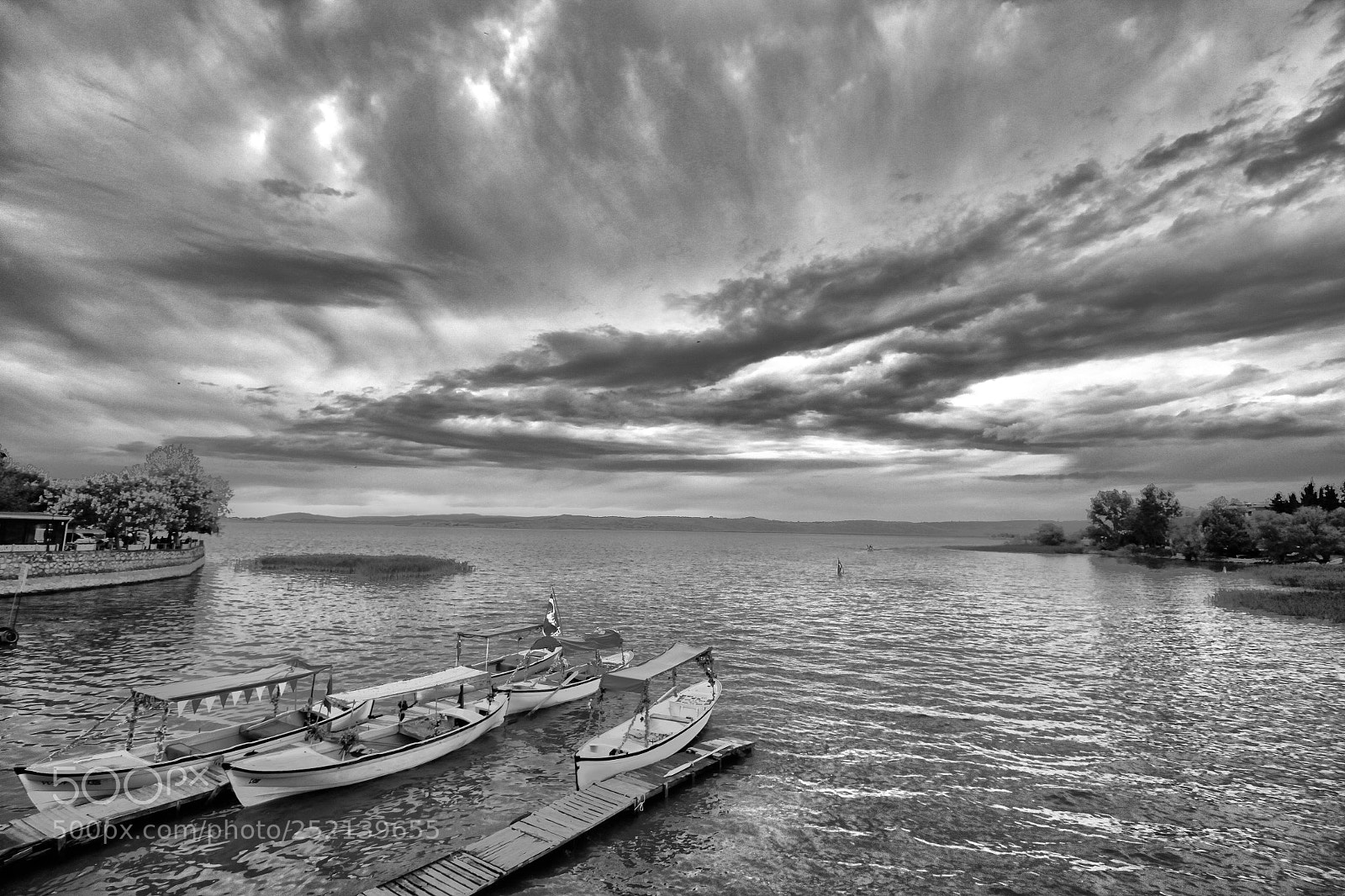 Canon EOS 500D (EOS Rebel T1i / EOS Kiss X3) sample photo. Black white photography
