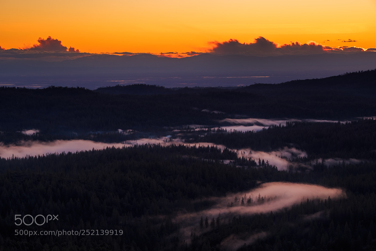 Fujifilm X-T1 sample photo. Rising mist at sunset photography
