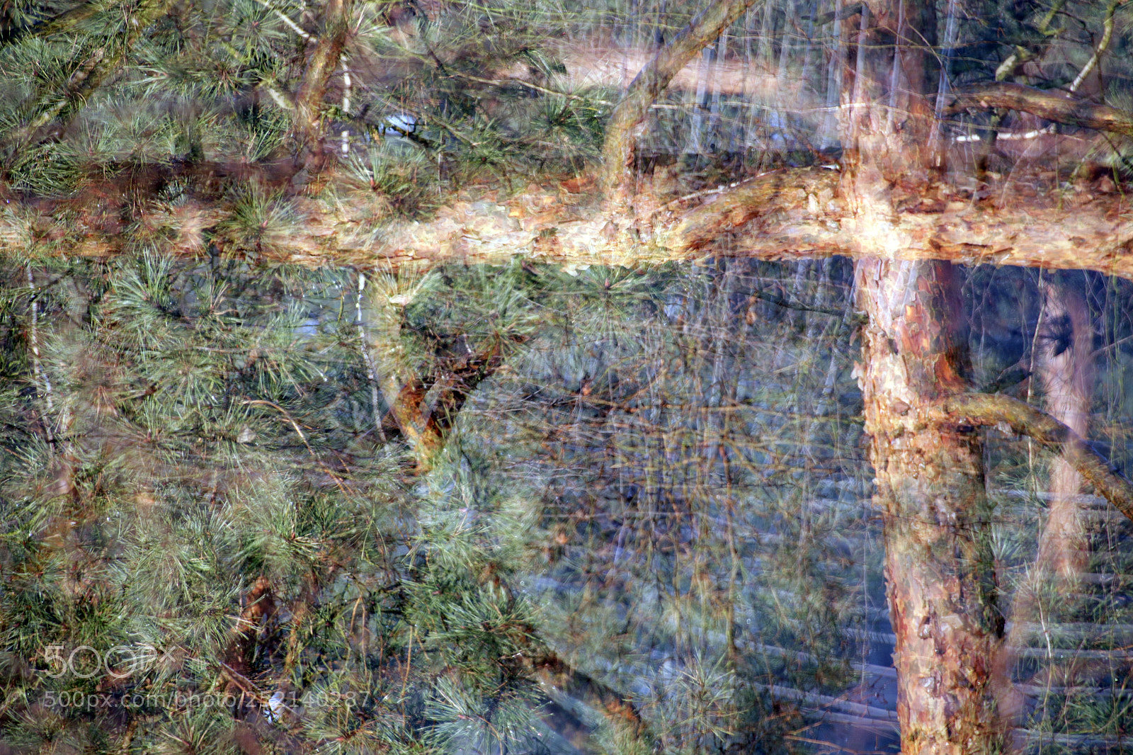 Canon EOS 70D sample photo. The unreal pine photography