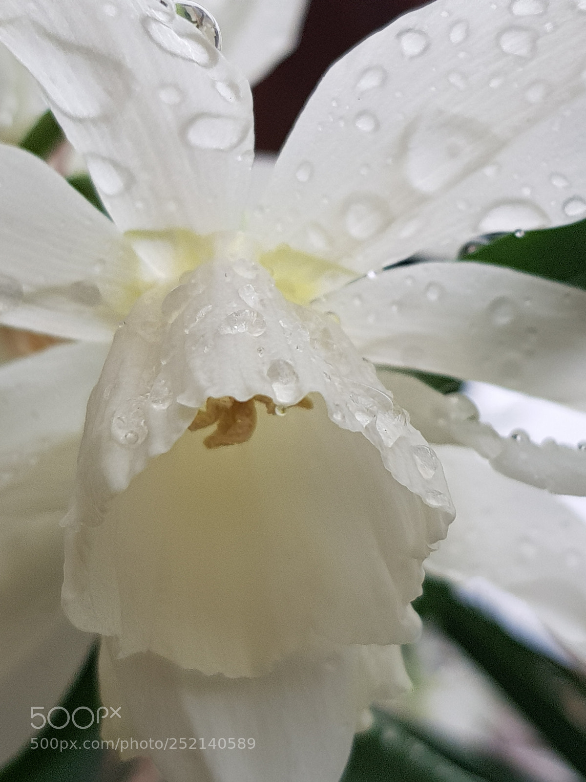 Samsung Galaxy S8 sample photo. Untitled photography
