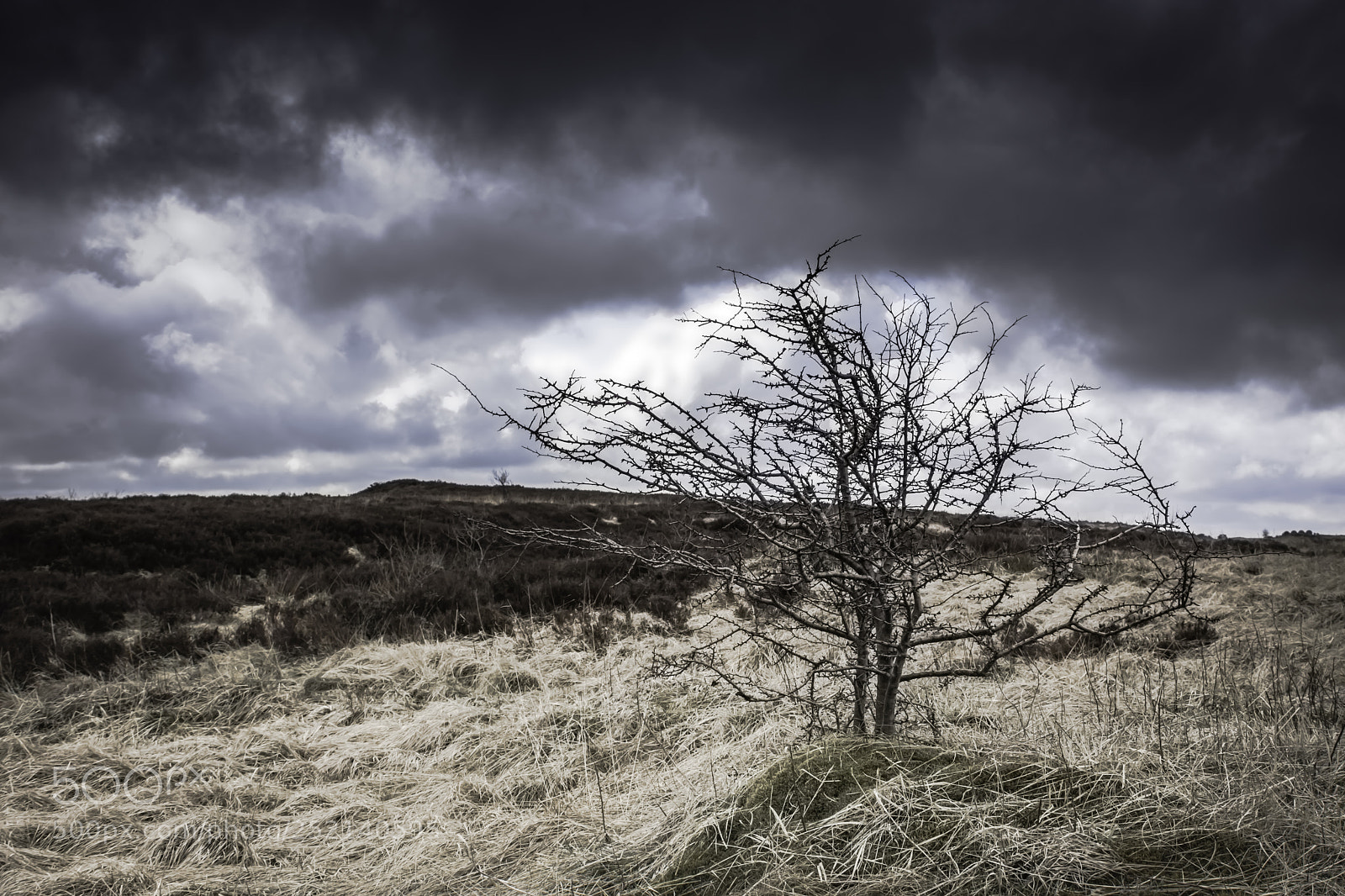 Nikon D7200 sample photo. Rough landscape of peak photography