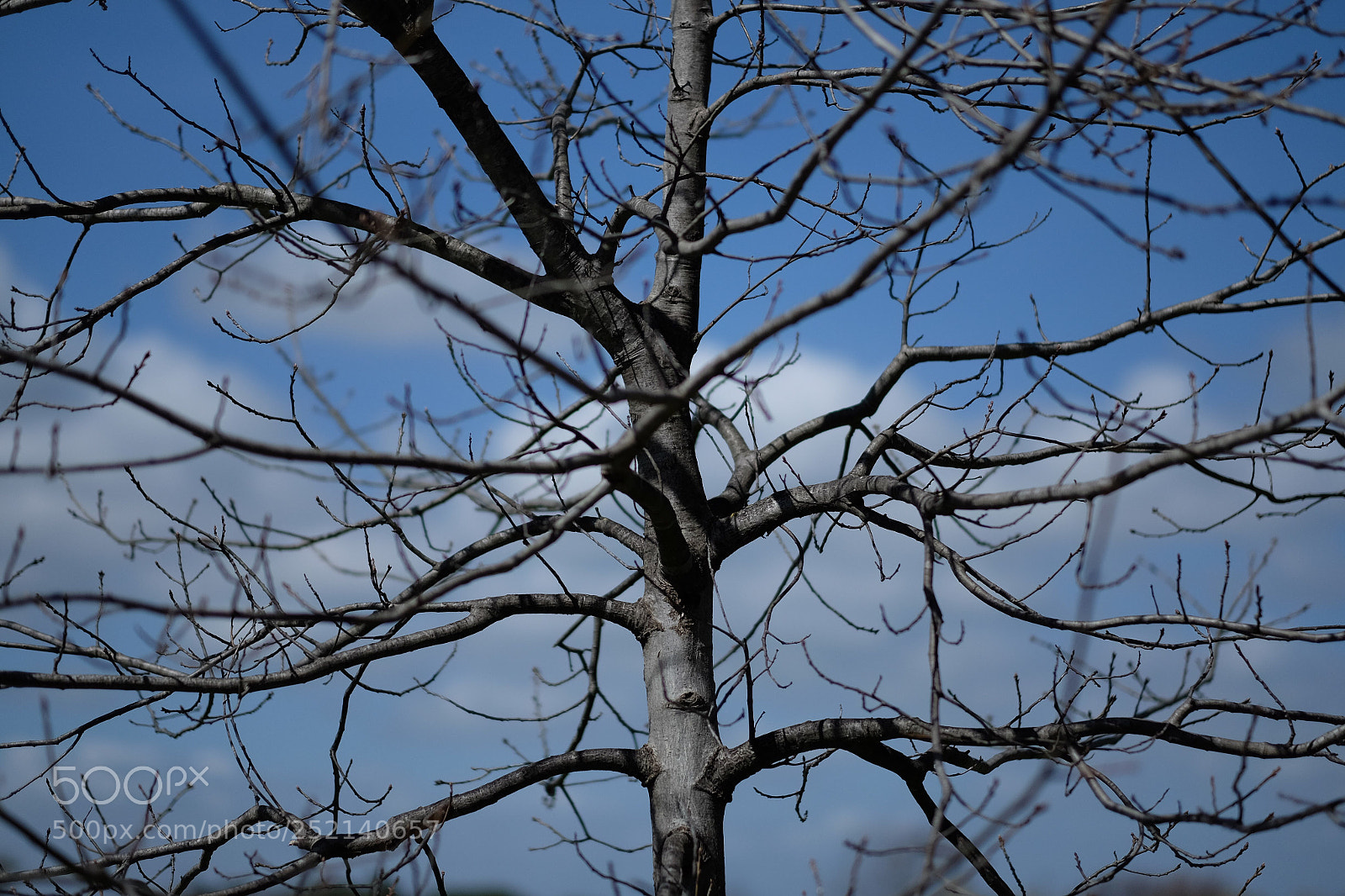 Fujifilm X-E2 sample photo. Untitled photography