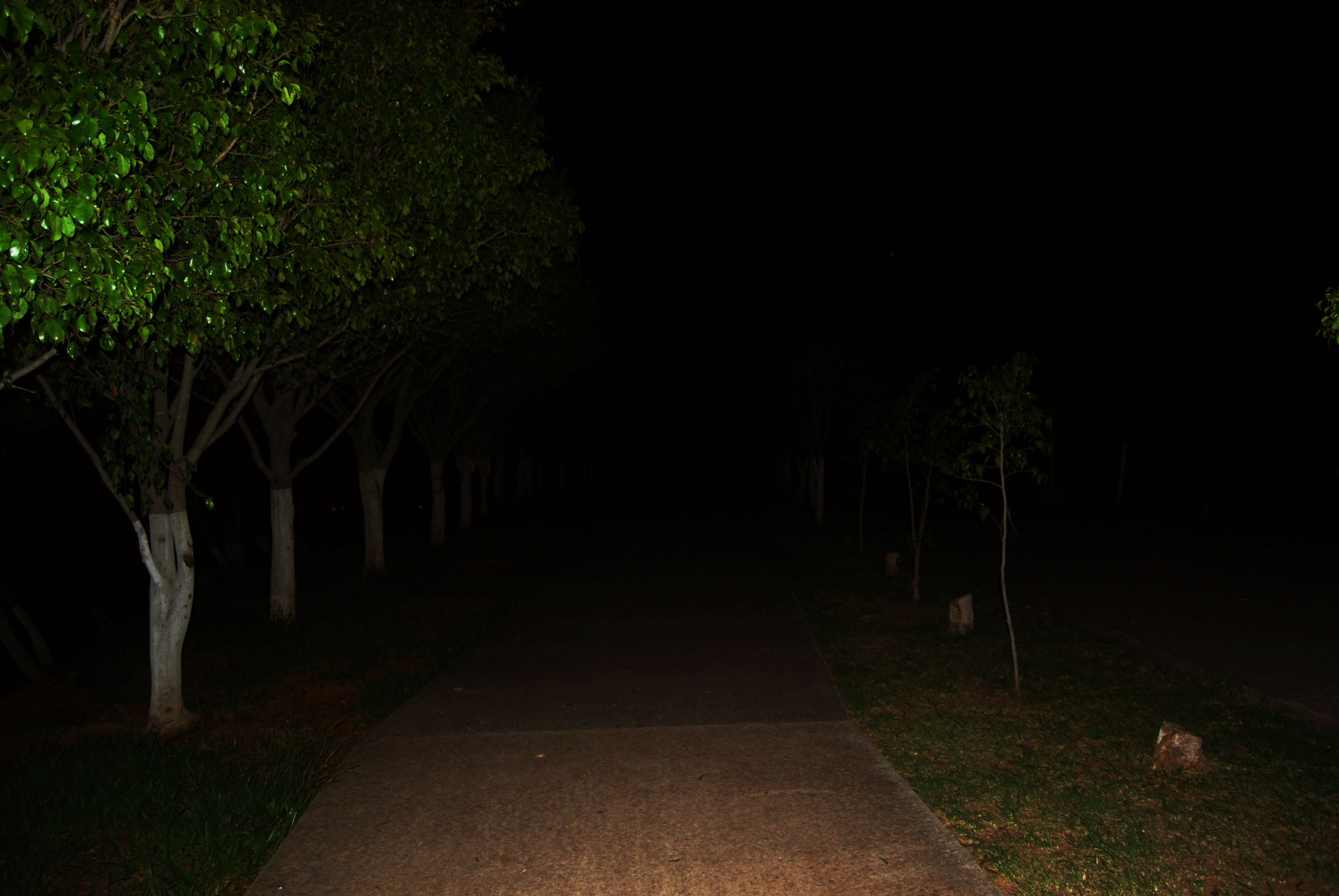 Nikon D40X sample photo. Night photography