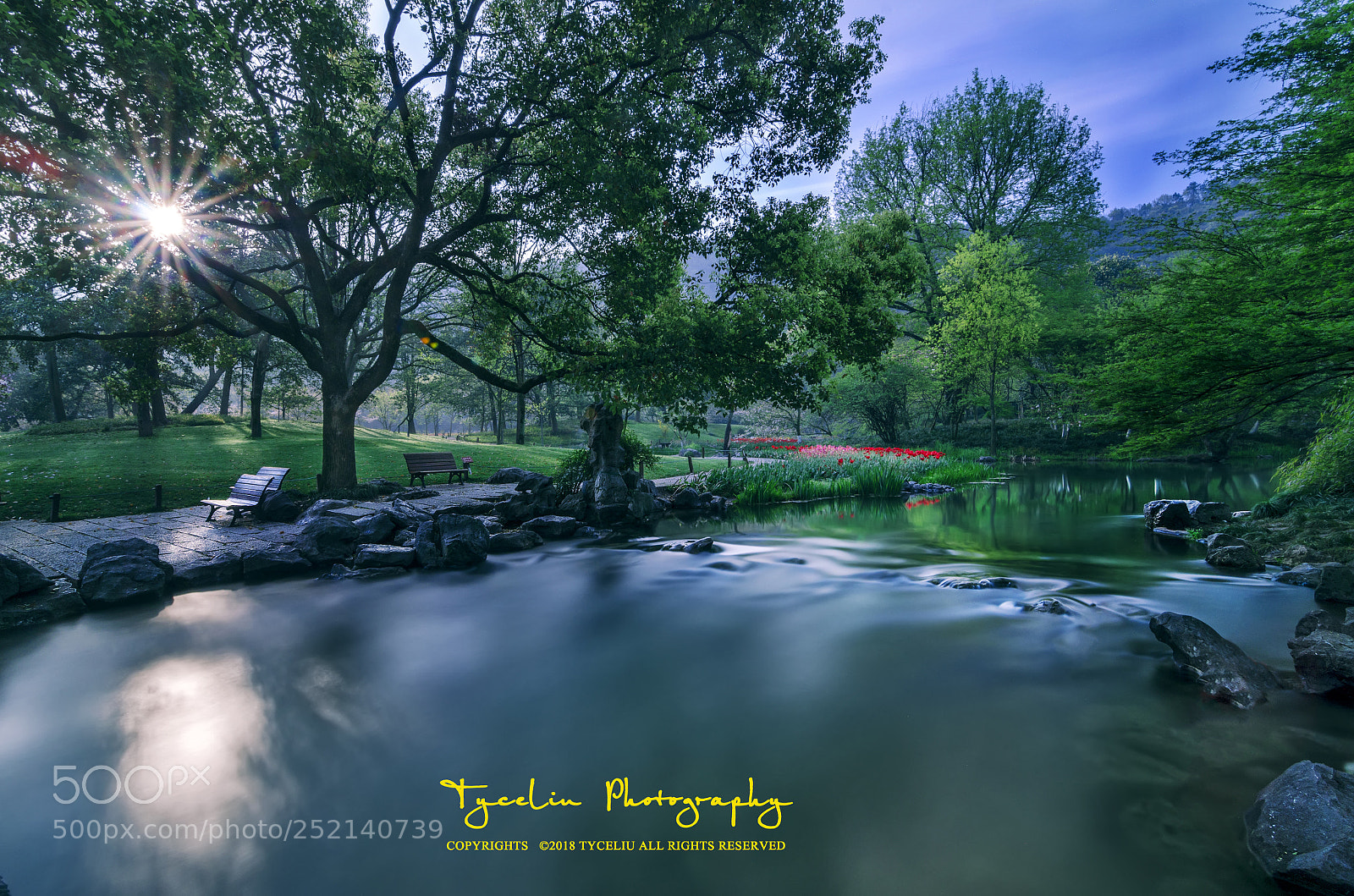 Nikon D7000 sample photo. Taiziwan park stream photography