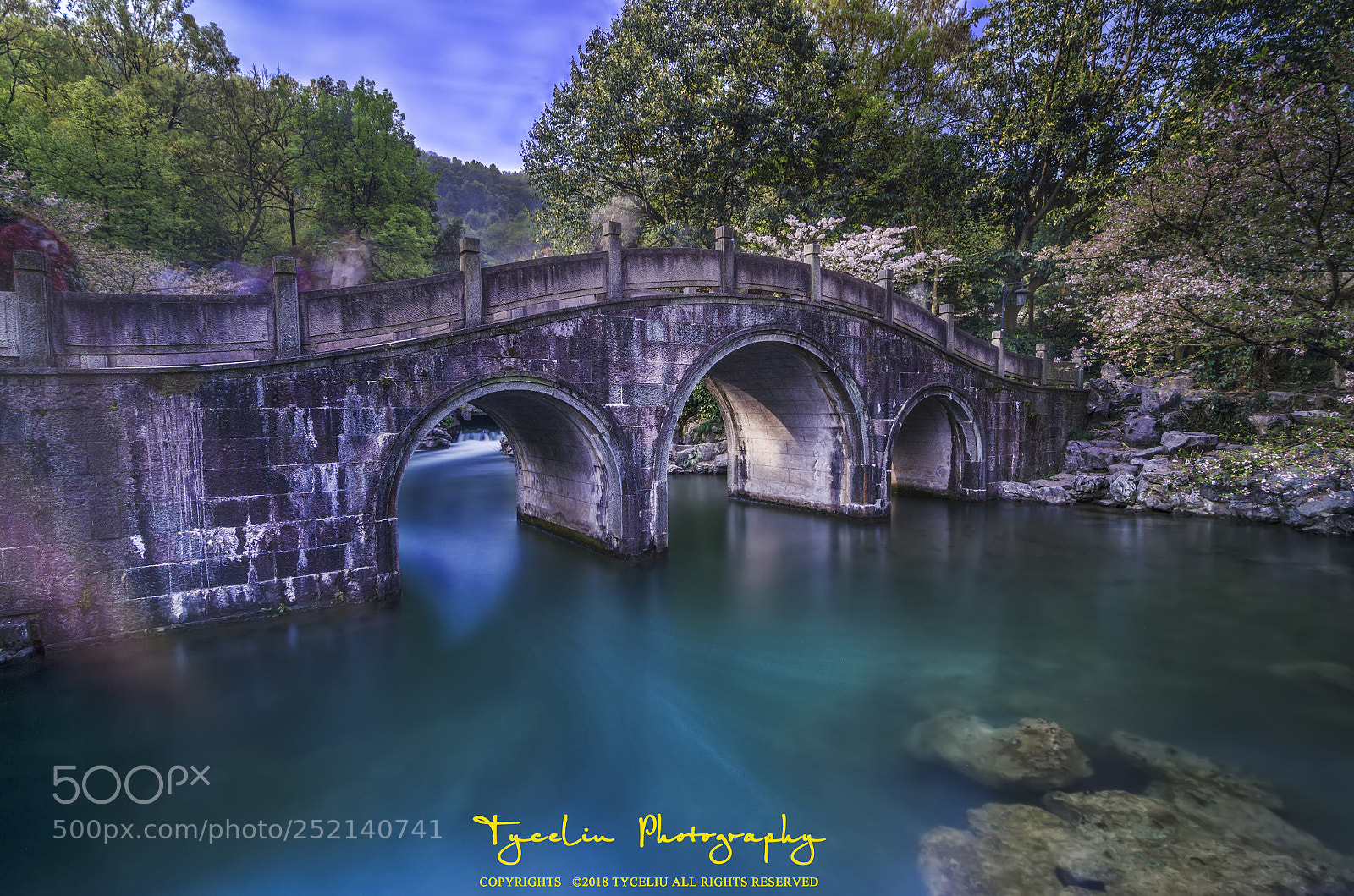 Nikon D7000 sample photo. Taiziwan park arch bridge photography