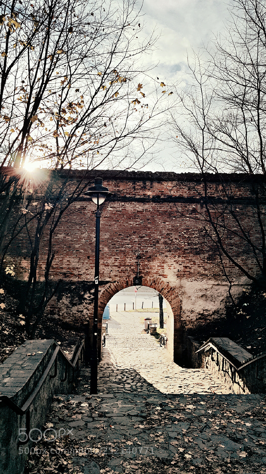 Samsung Galaxy Note4 sample photo. Lookin' over the wall ... photography